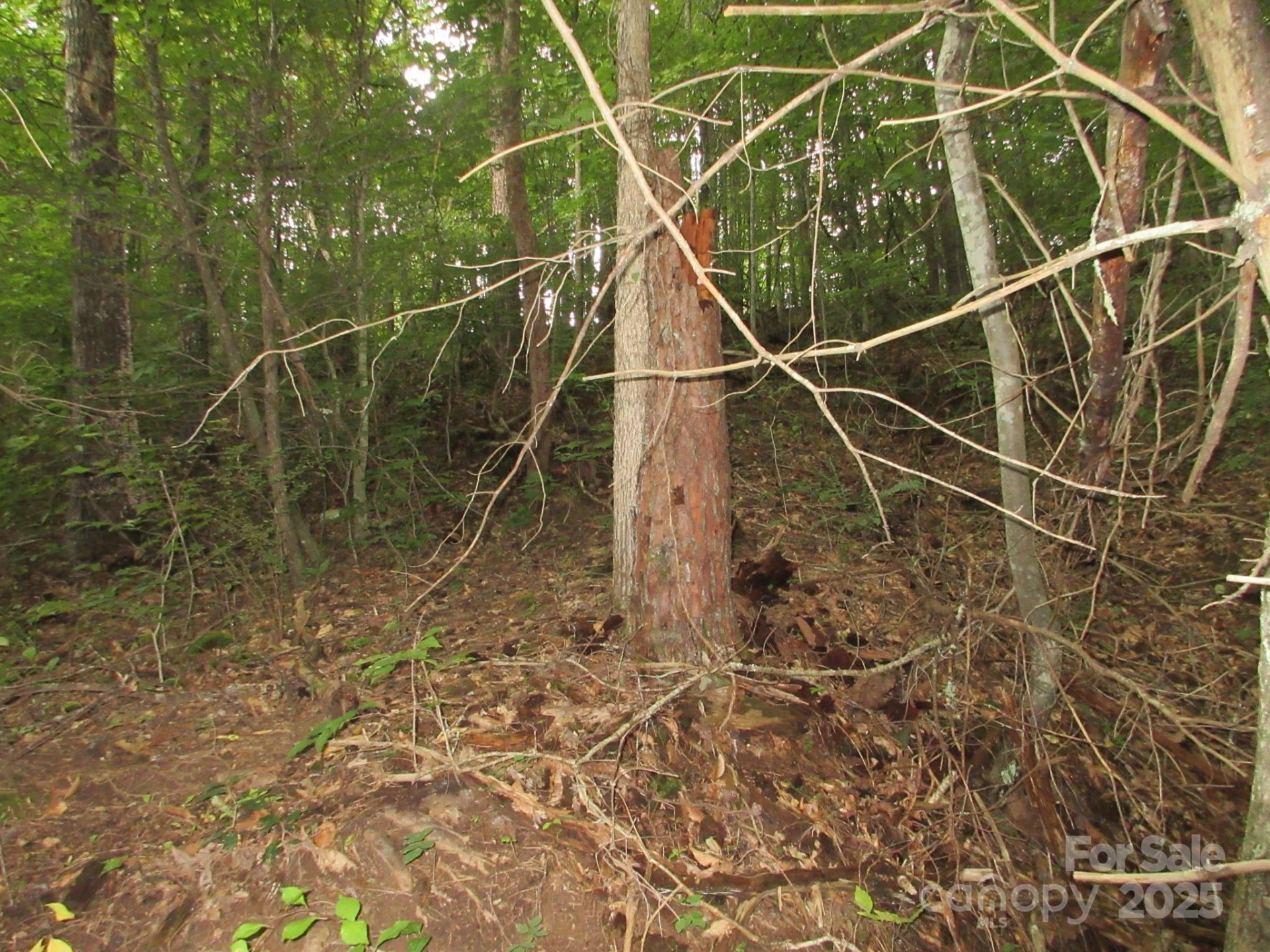 0 Old Burnsville Road - Photo 15