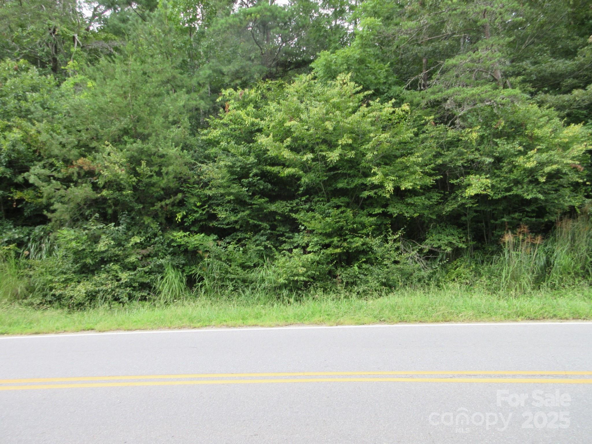0 Old Burnsville Road - Photo 16