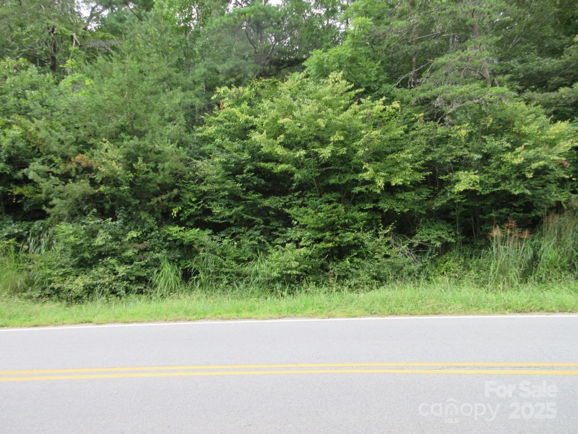 0 Old Burnsville Road - Photo 16