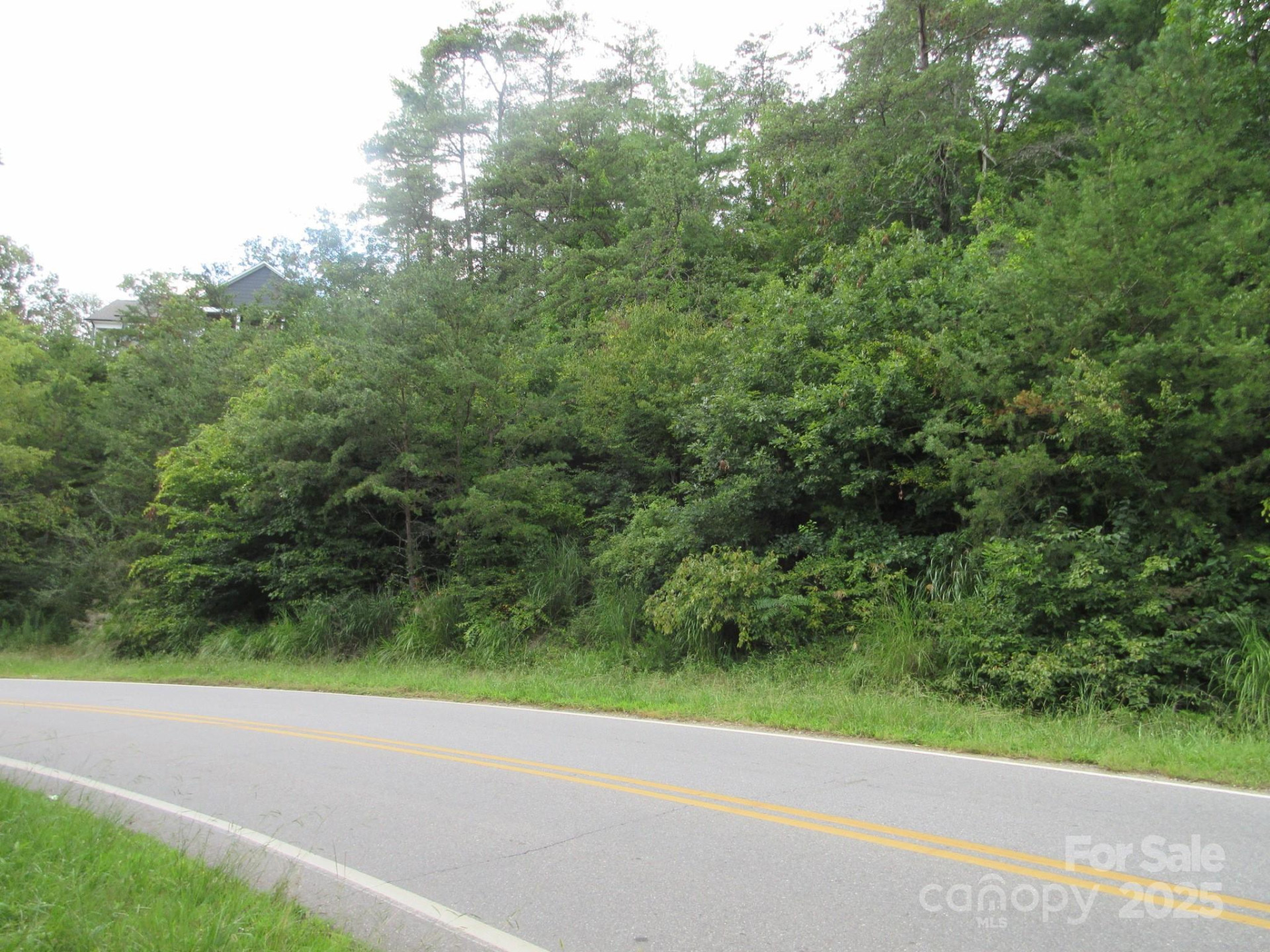 0 Old Burnsville Road - Photo 4