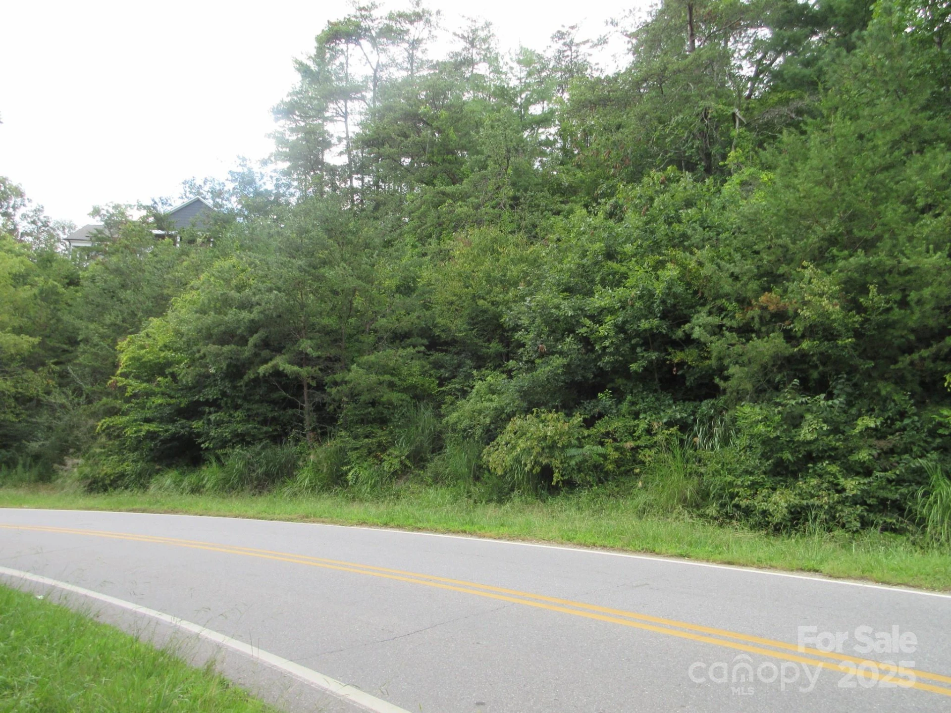 0 Old Burnsville Road - Photo 4