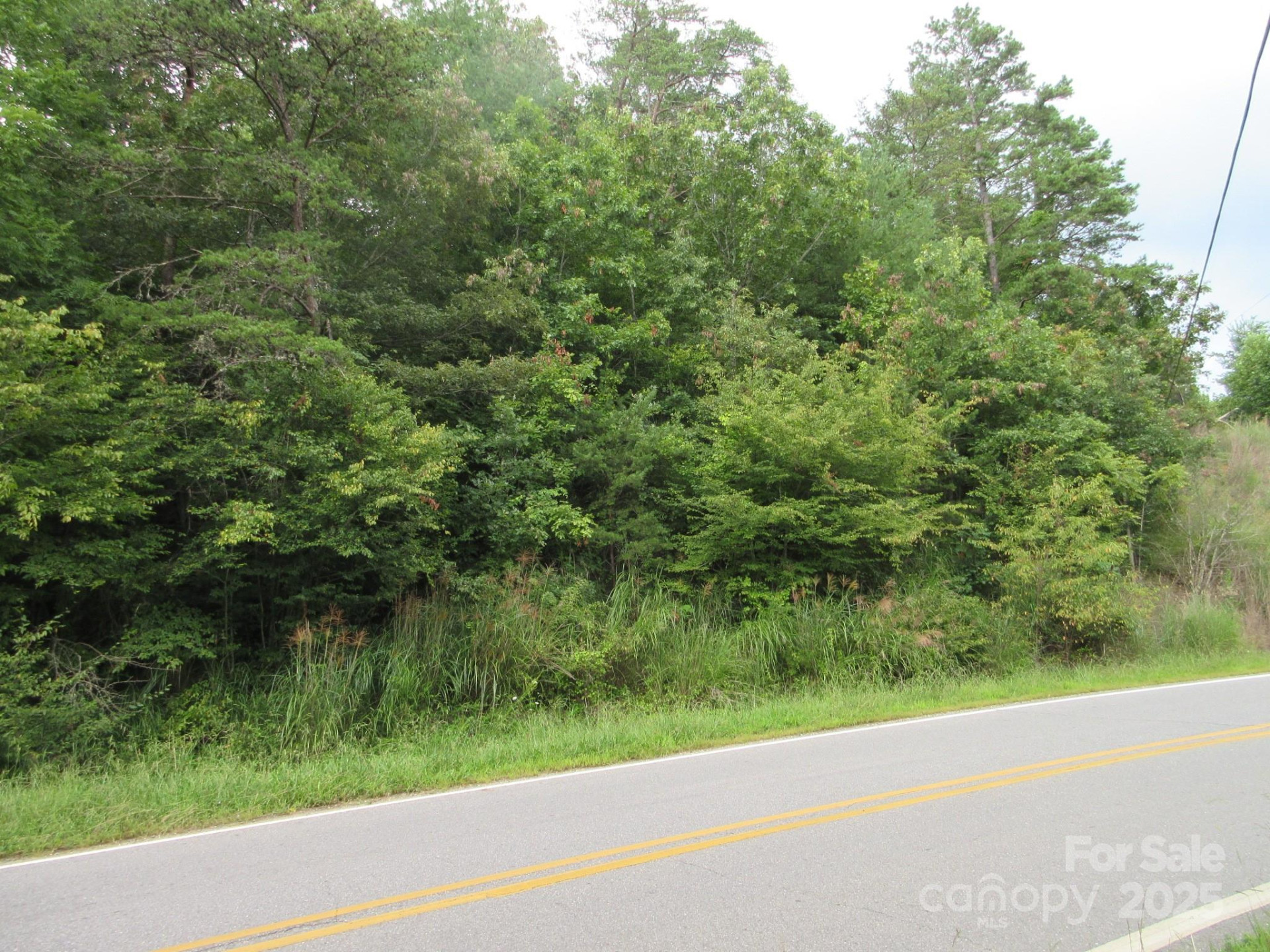 0 Old Burnsville Road - Photo 5