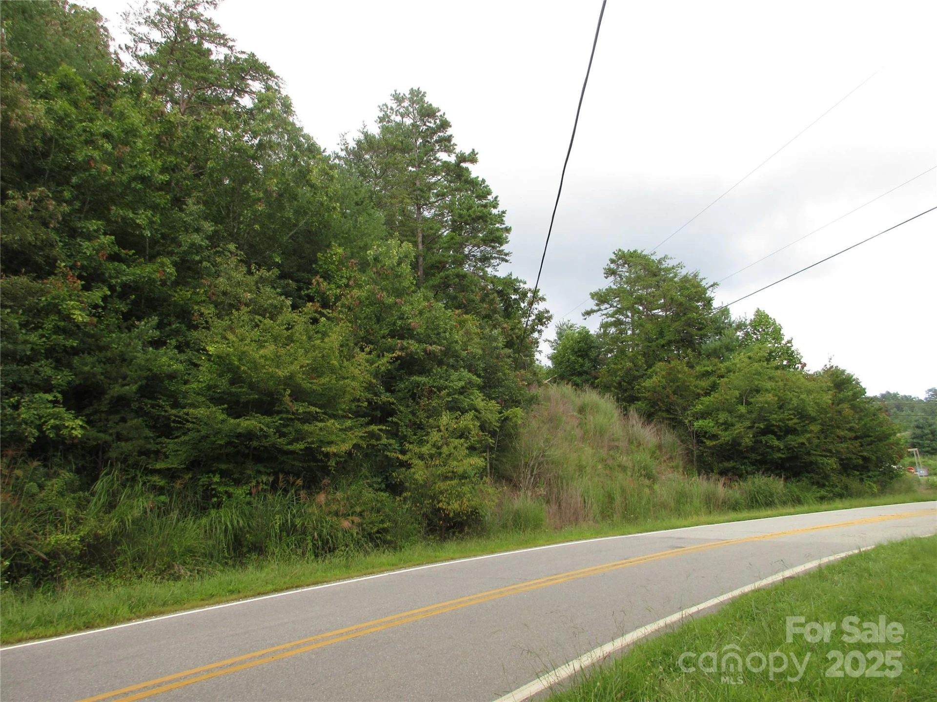 0 Old Burnsville Road - Photo 6
