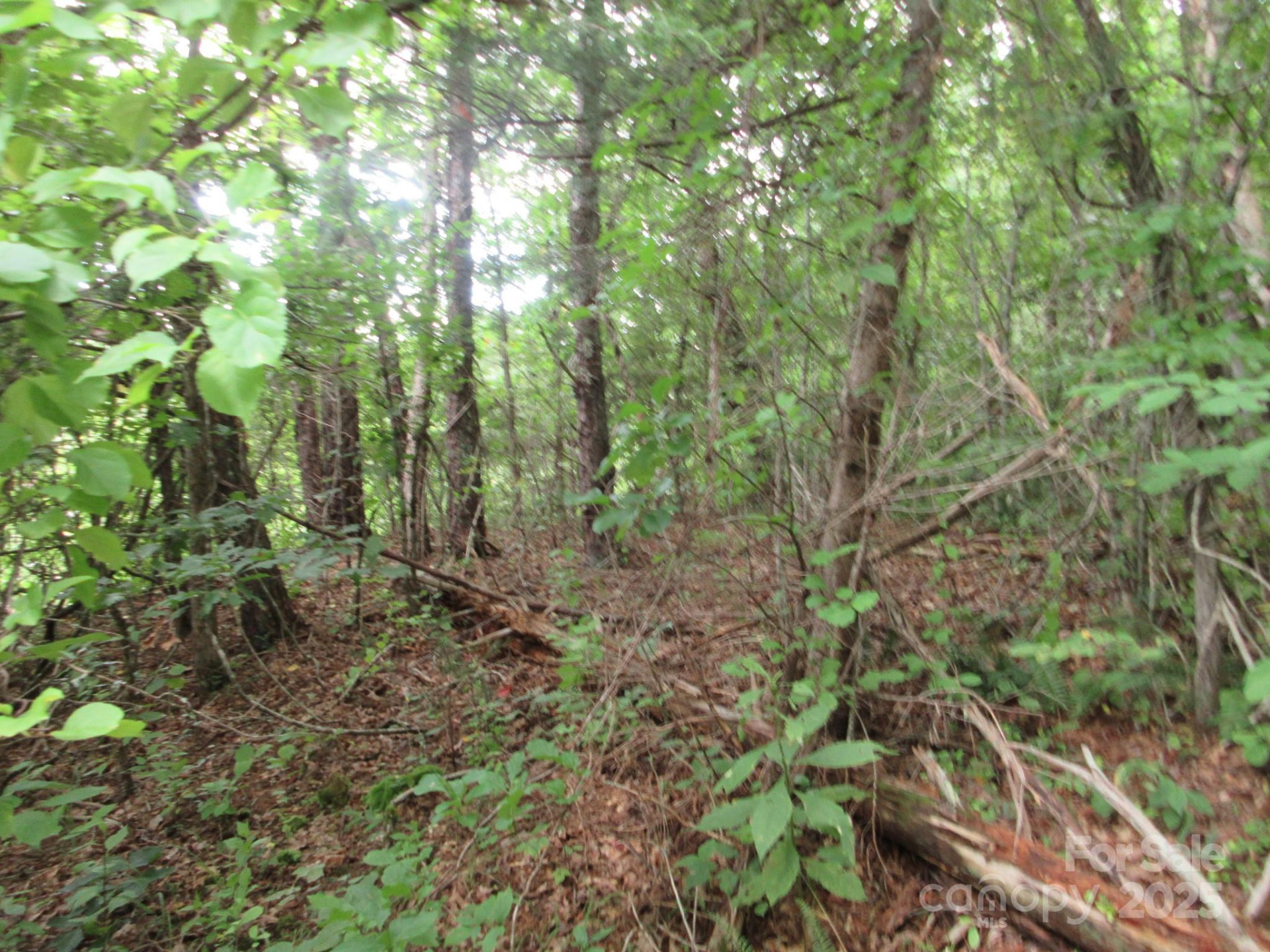0 Old Burnsville Road - Photo 7