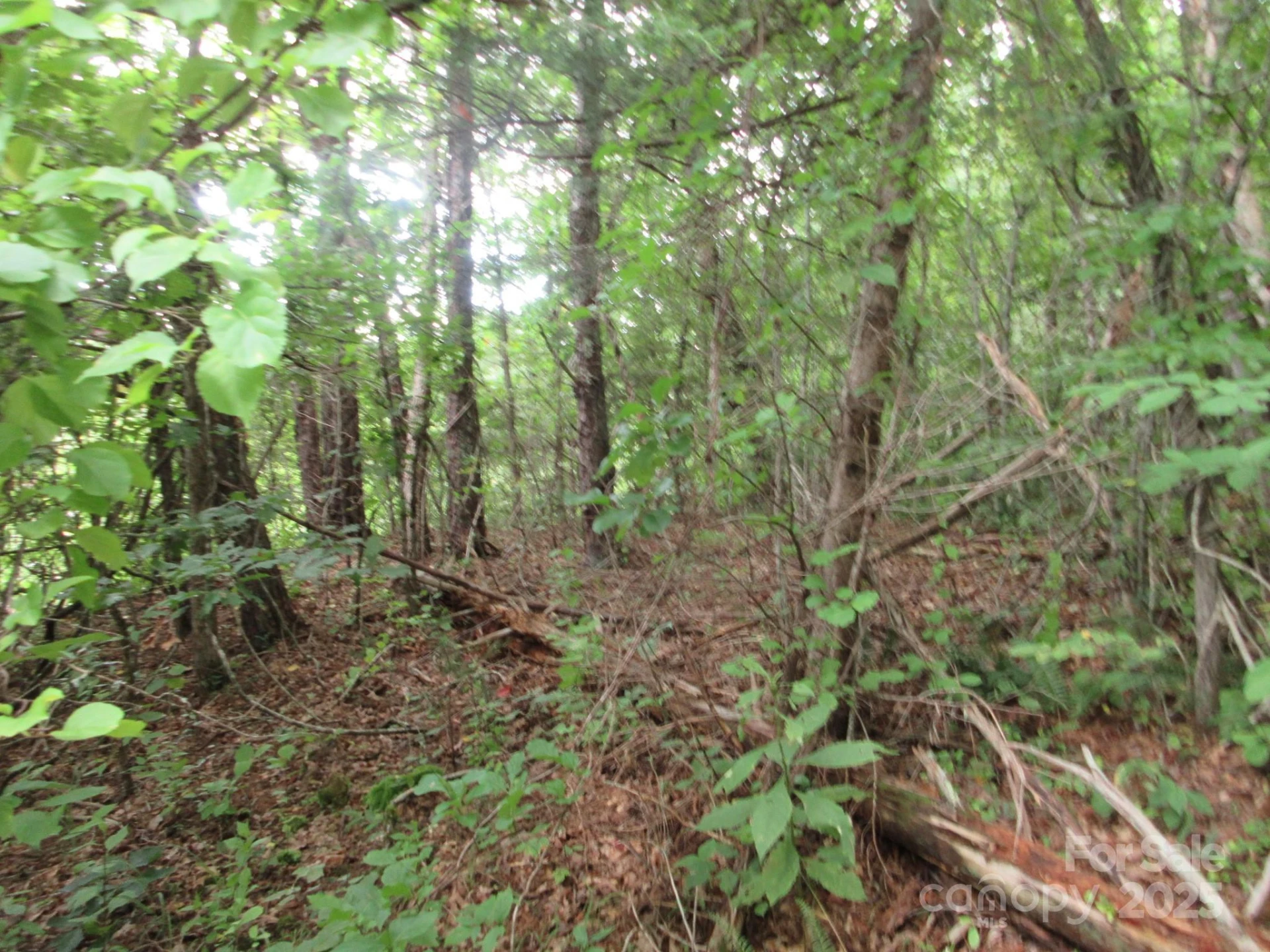 0 Old Burnsville Road - Photo 7