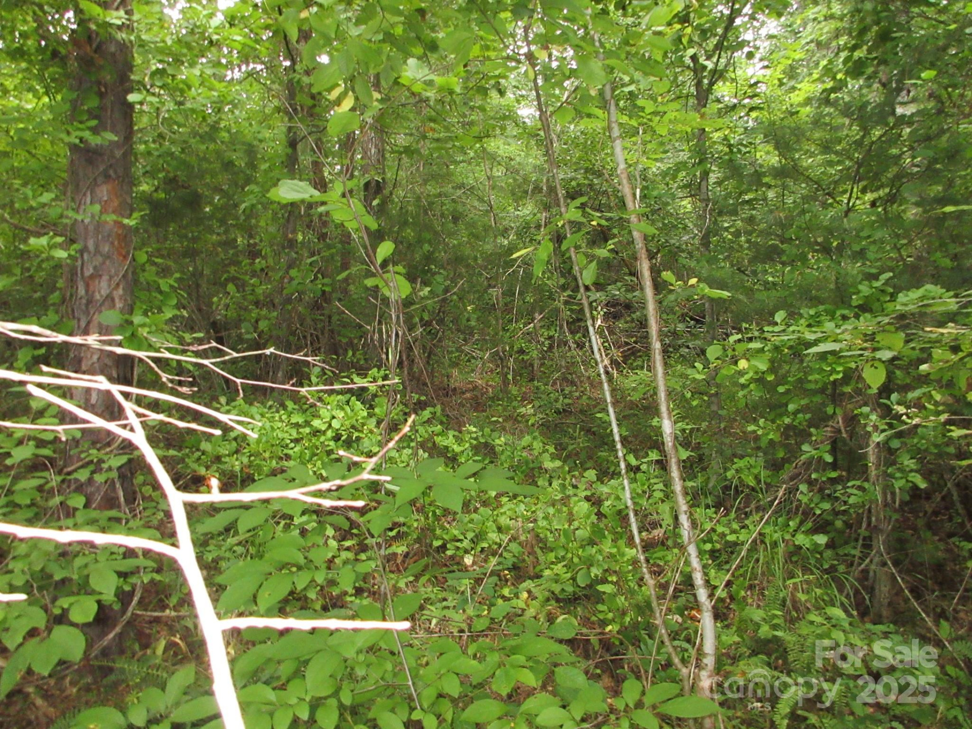 0 Old Burnsville Road - Photo 8