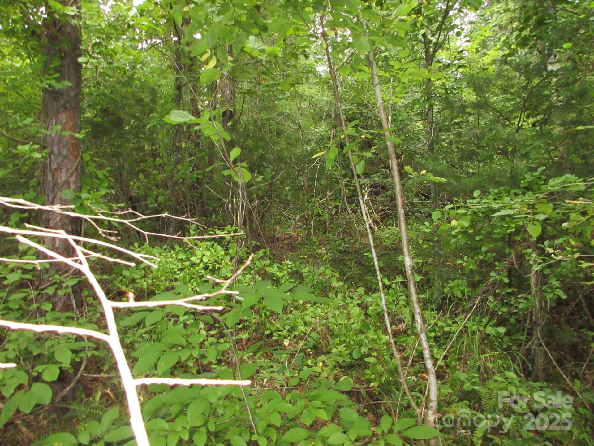 0 Old Burnsville Road - Photo 8