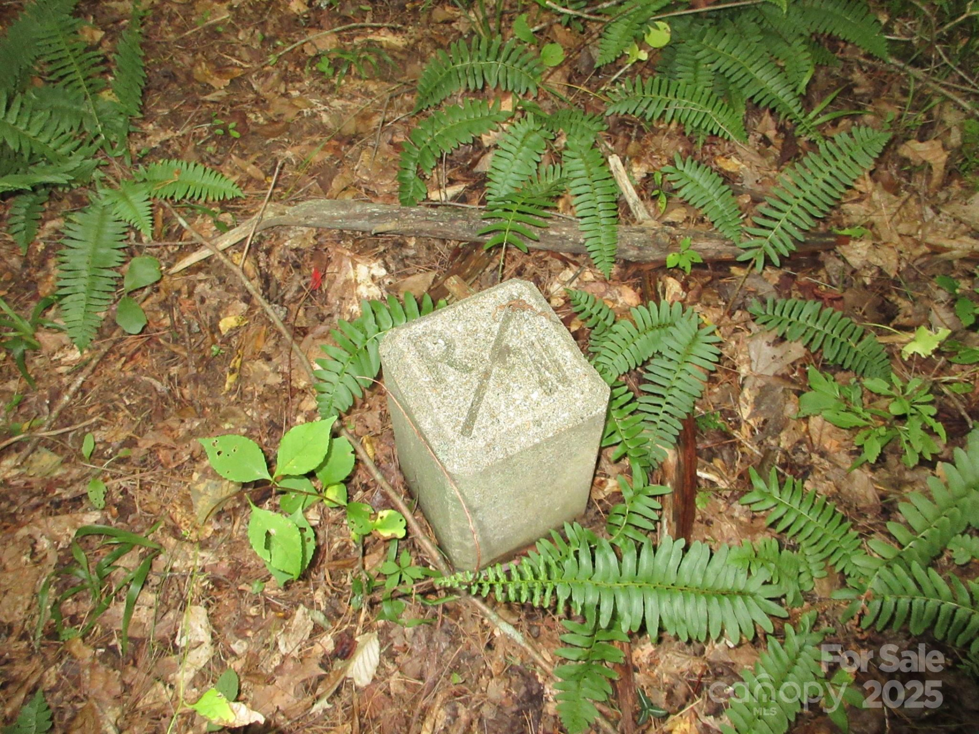 0 Old Burnsville Road - Photo 9