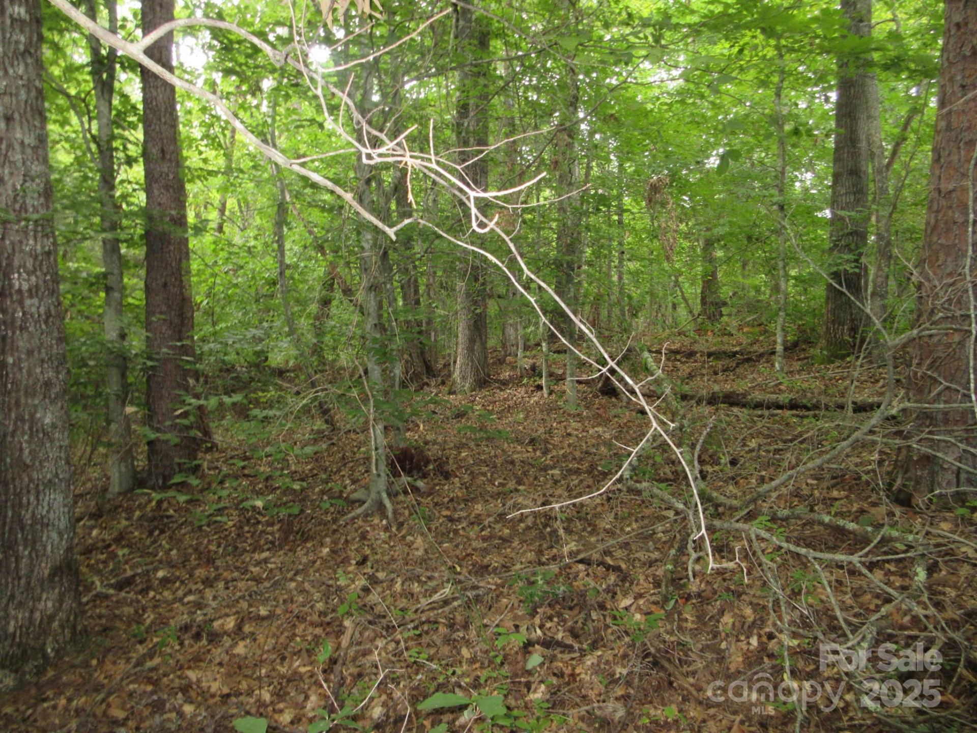 0 Old Burnsville Road - Photo 10