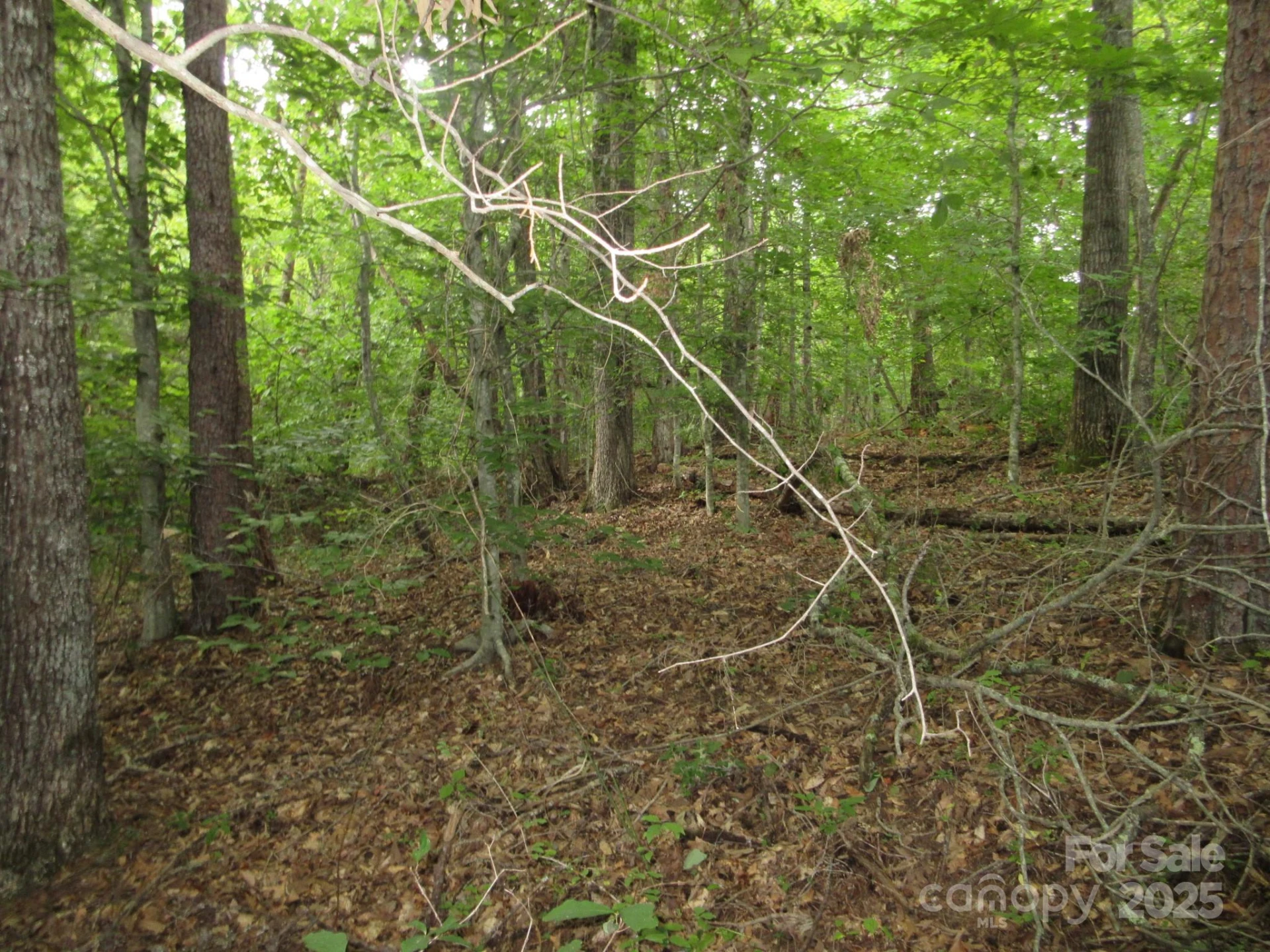 0 Old Burnsville Road - Photo 10