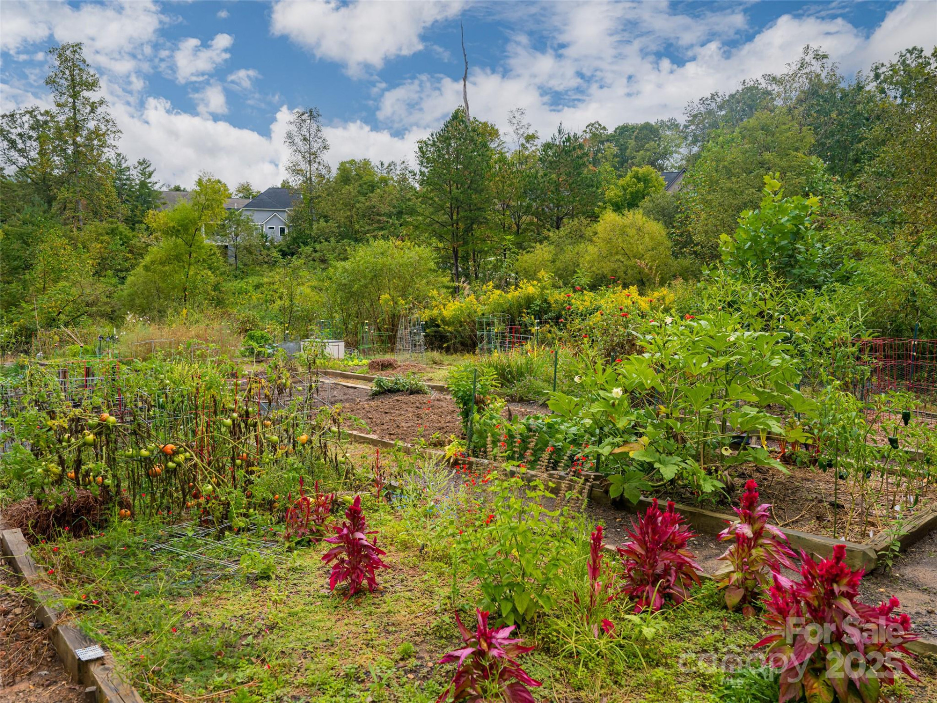87 Chantilly Drive - Photo 47