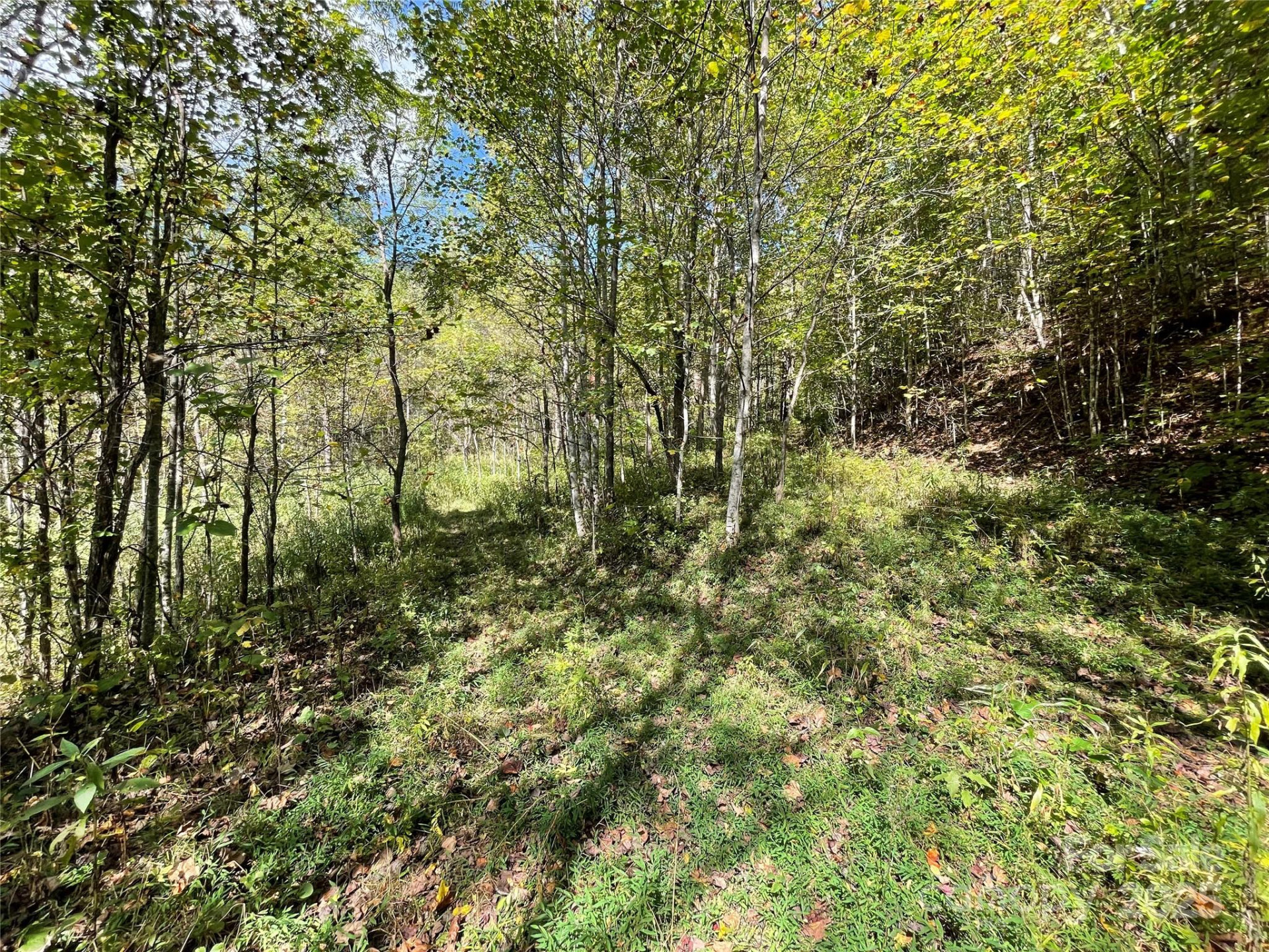 00 Poplar Holler Road