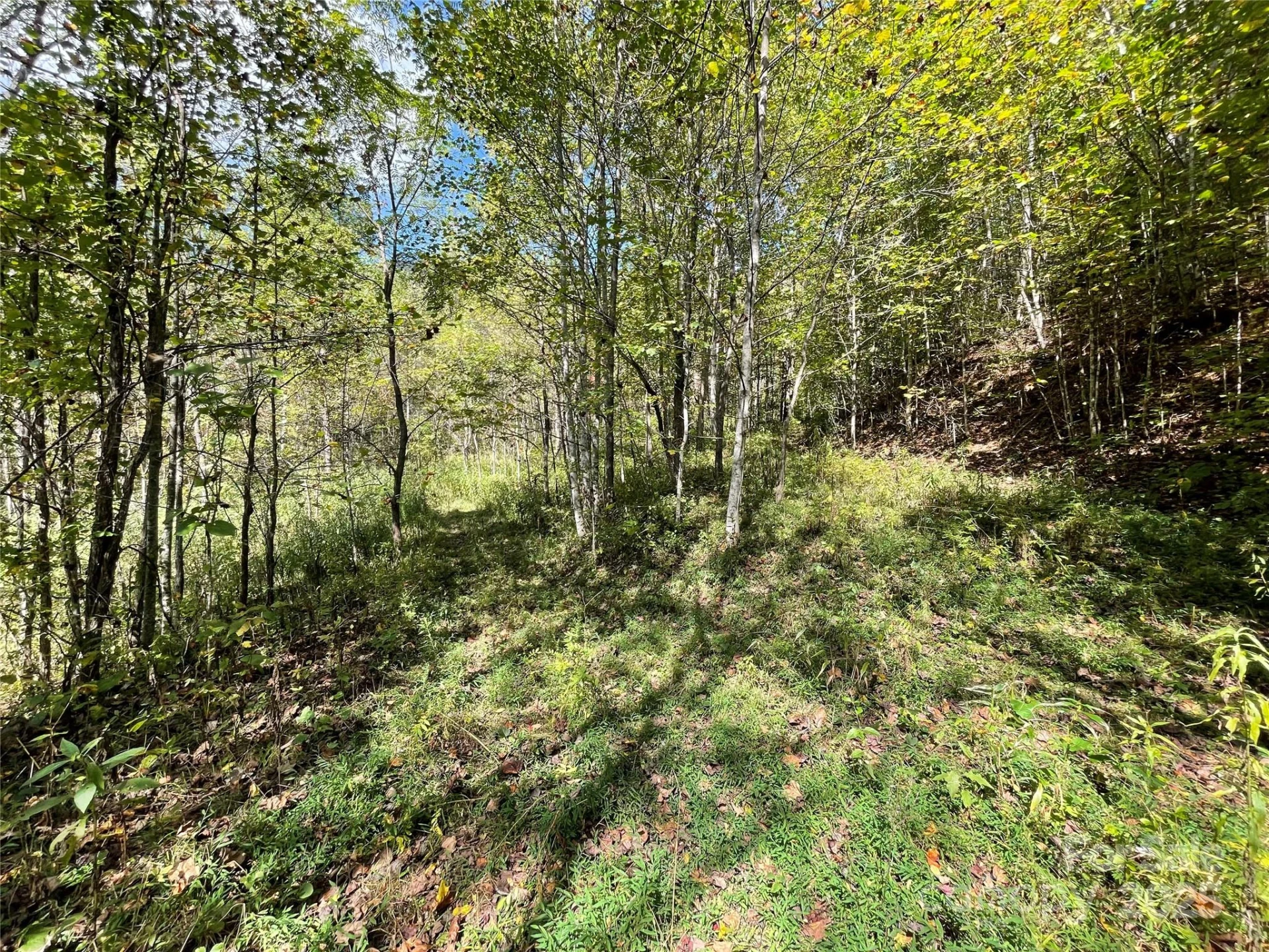 00 Poplar Holler Road