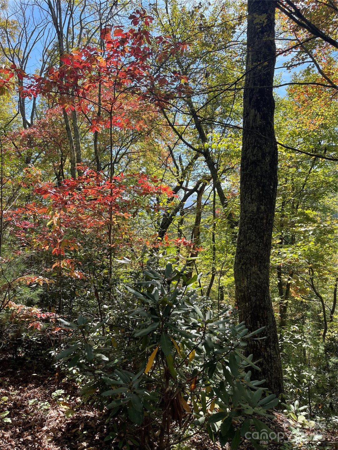 00 Poplar Holler Road - Photo 11