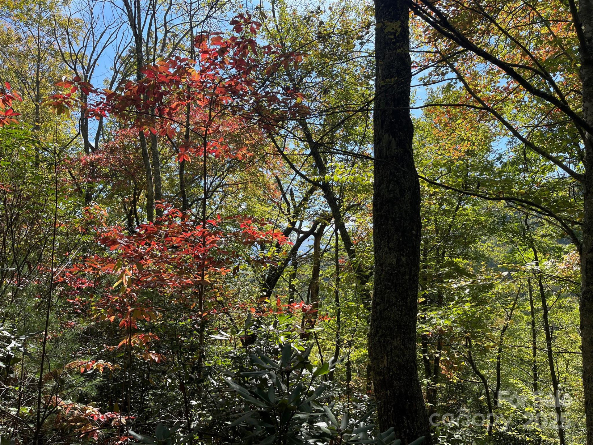 00 Poplar Holler Road - Photo 12