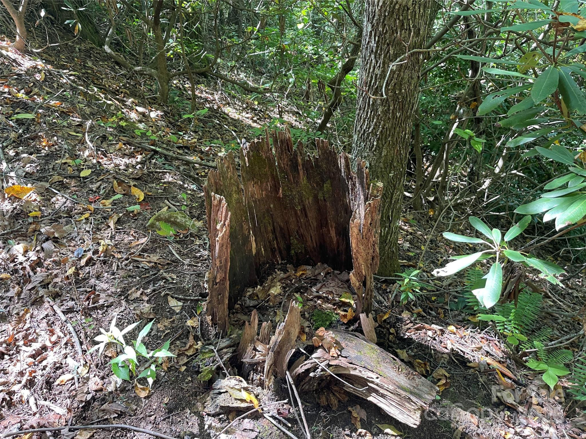 00 Poplar Holler Road - Photo 13