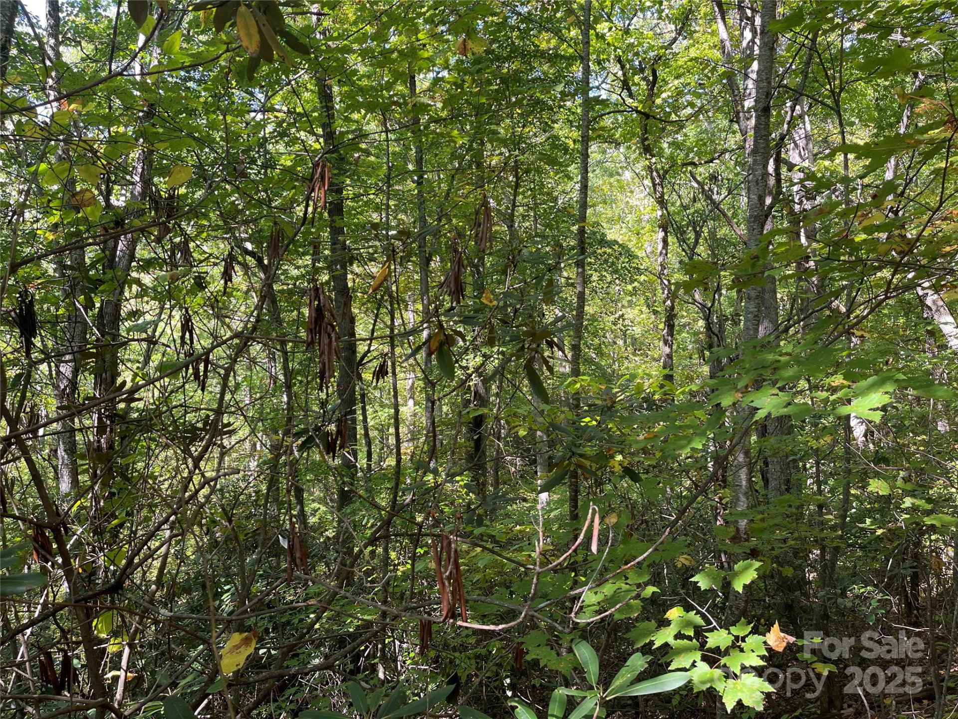 00 Poplar Holler Road - Photo 14