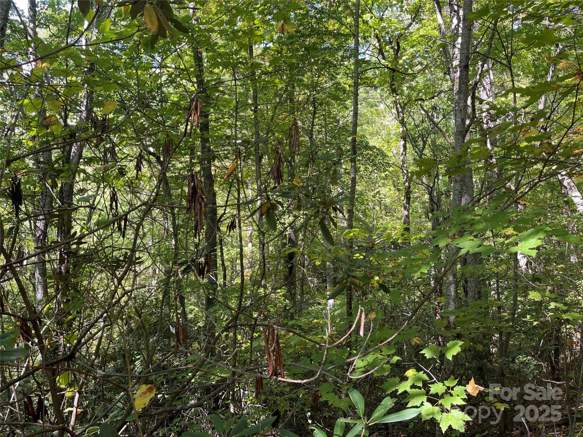 00 Poplar Holler Road - Photo 14
