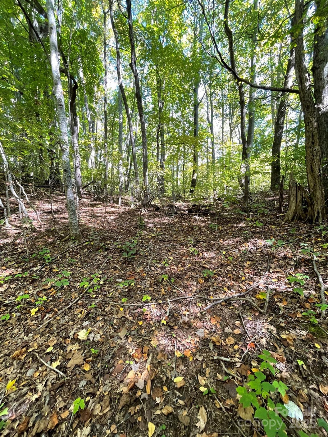 00 Poplar Holler Road - Photo 16