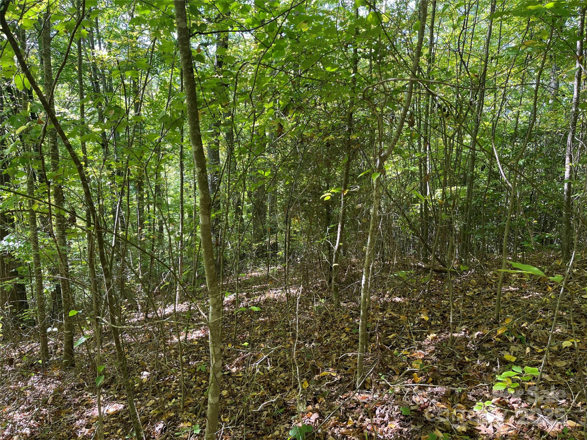 00 Poplar Holler Road - Photo 18