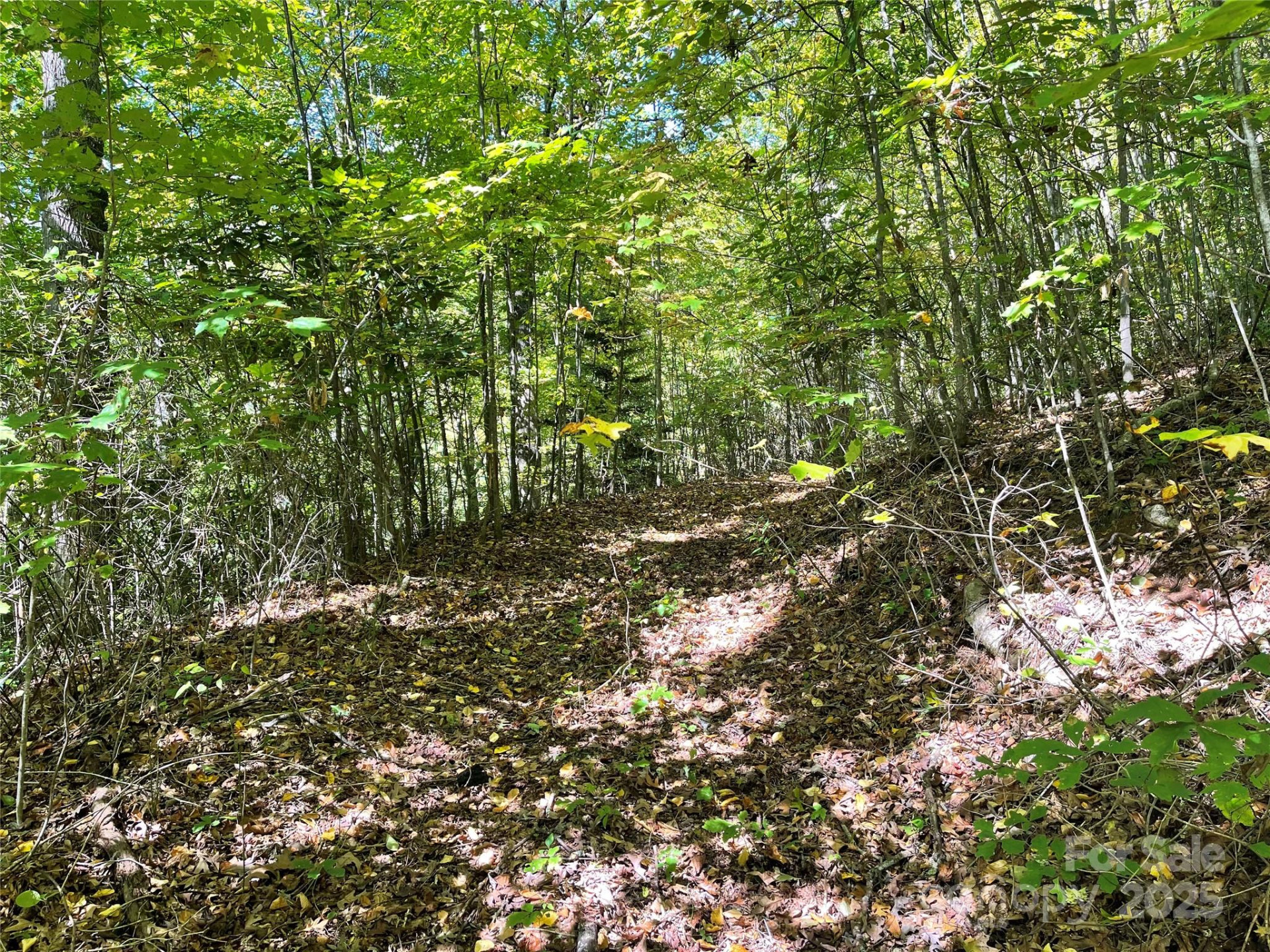 00 Poplar Holler Road - Photo 19