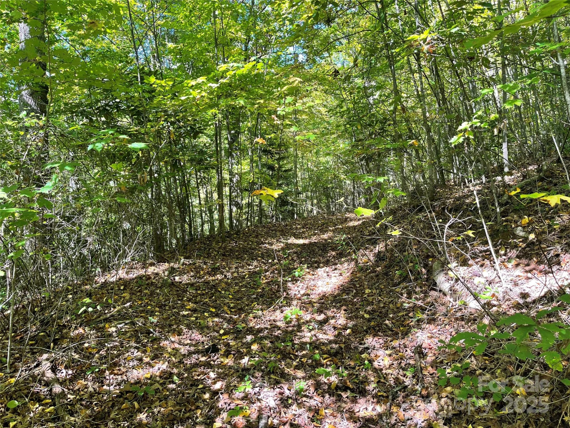 00 Poplar Holler Road - Photo 19