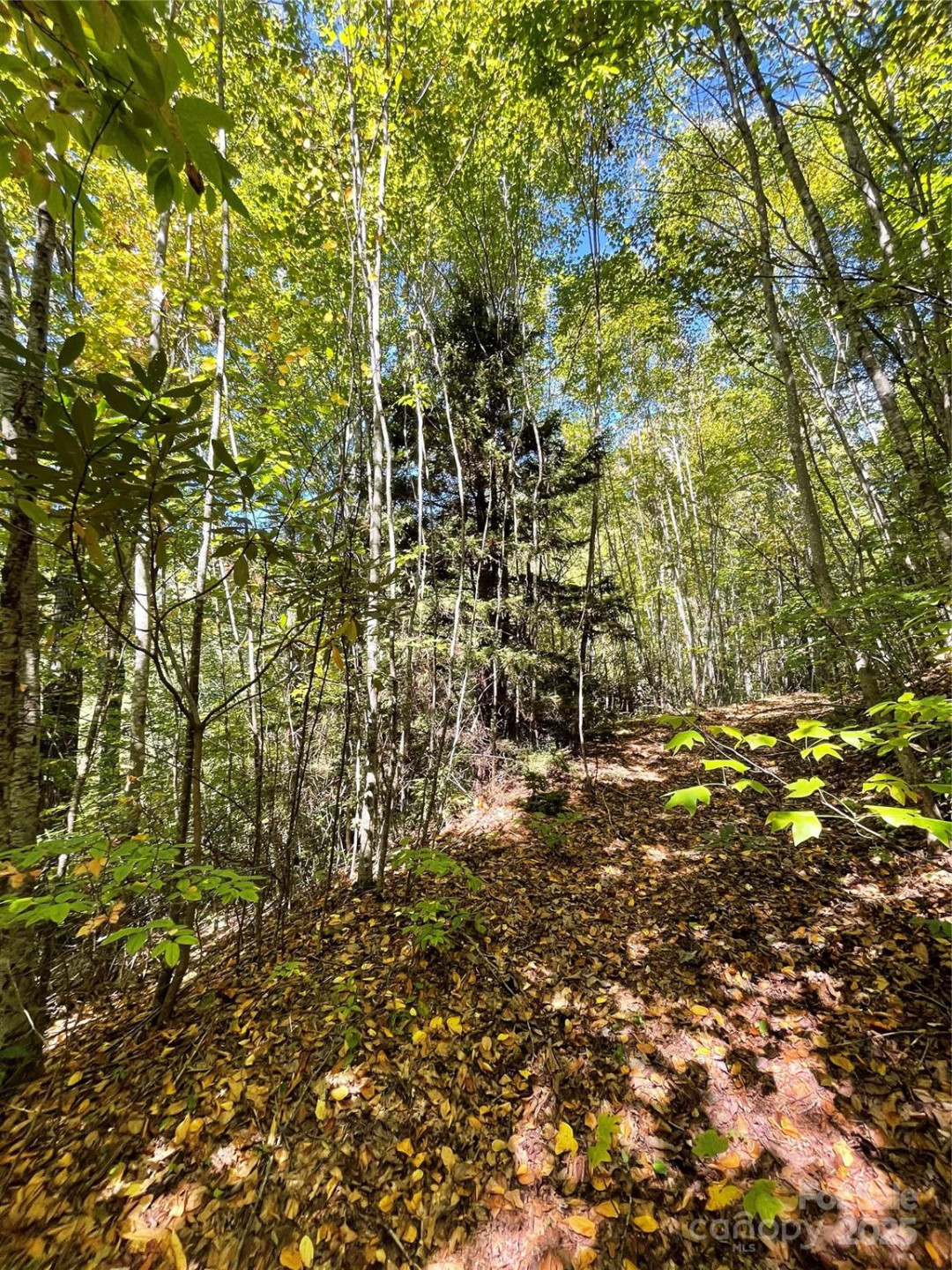 00 Poplar Holler Road - Photo 20