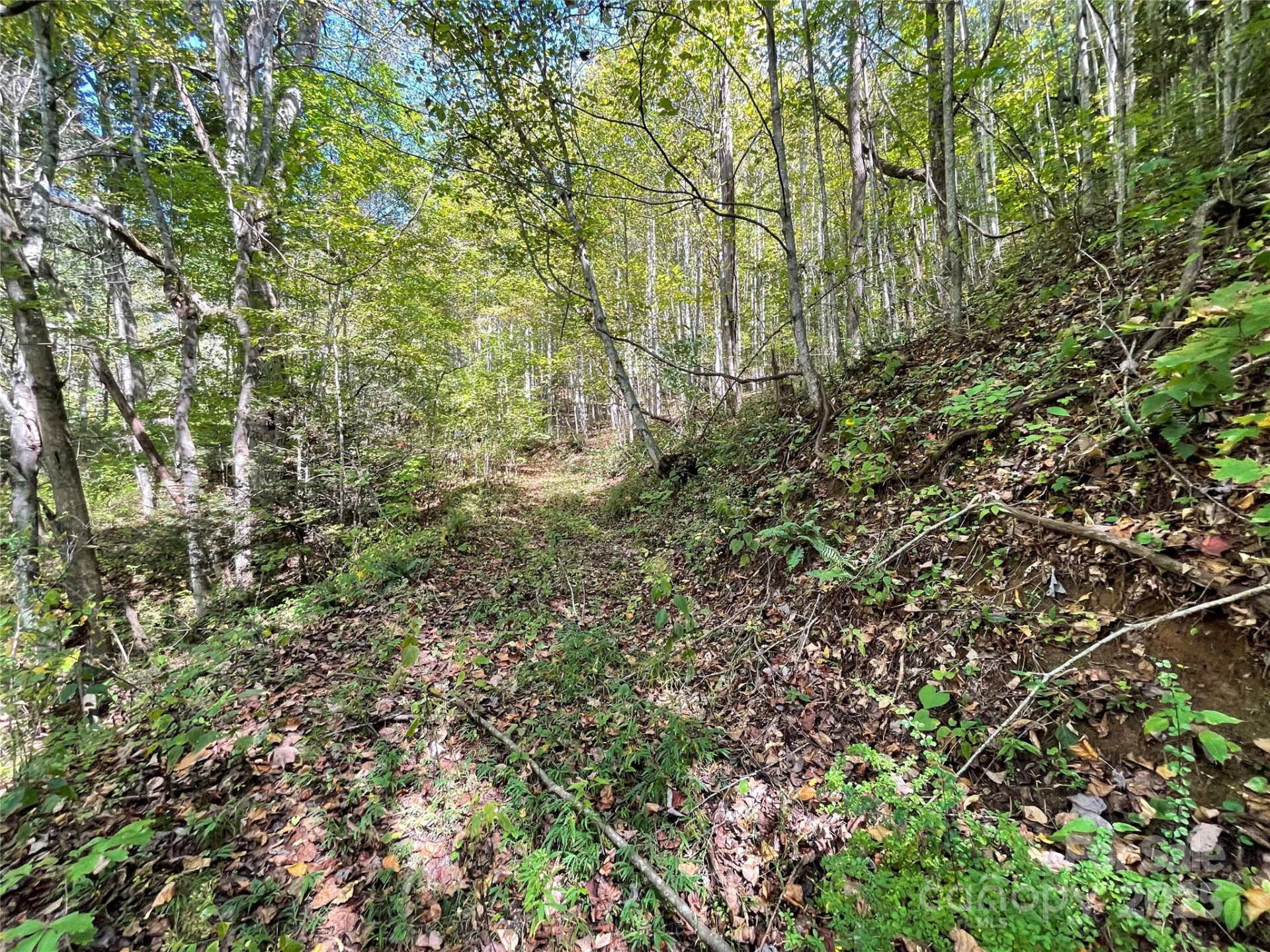 00 Poplar Holler Road - Photo 3