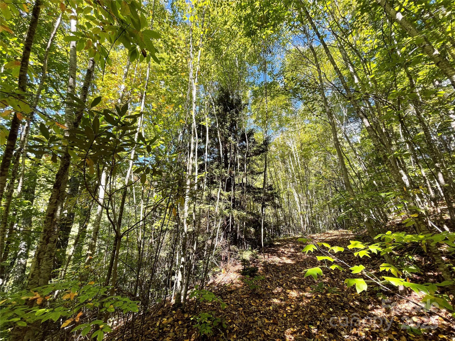 00 Poplar Holler Road - Photo 21