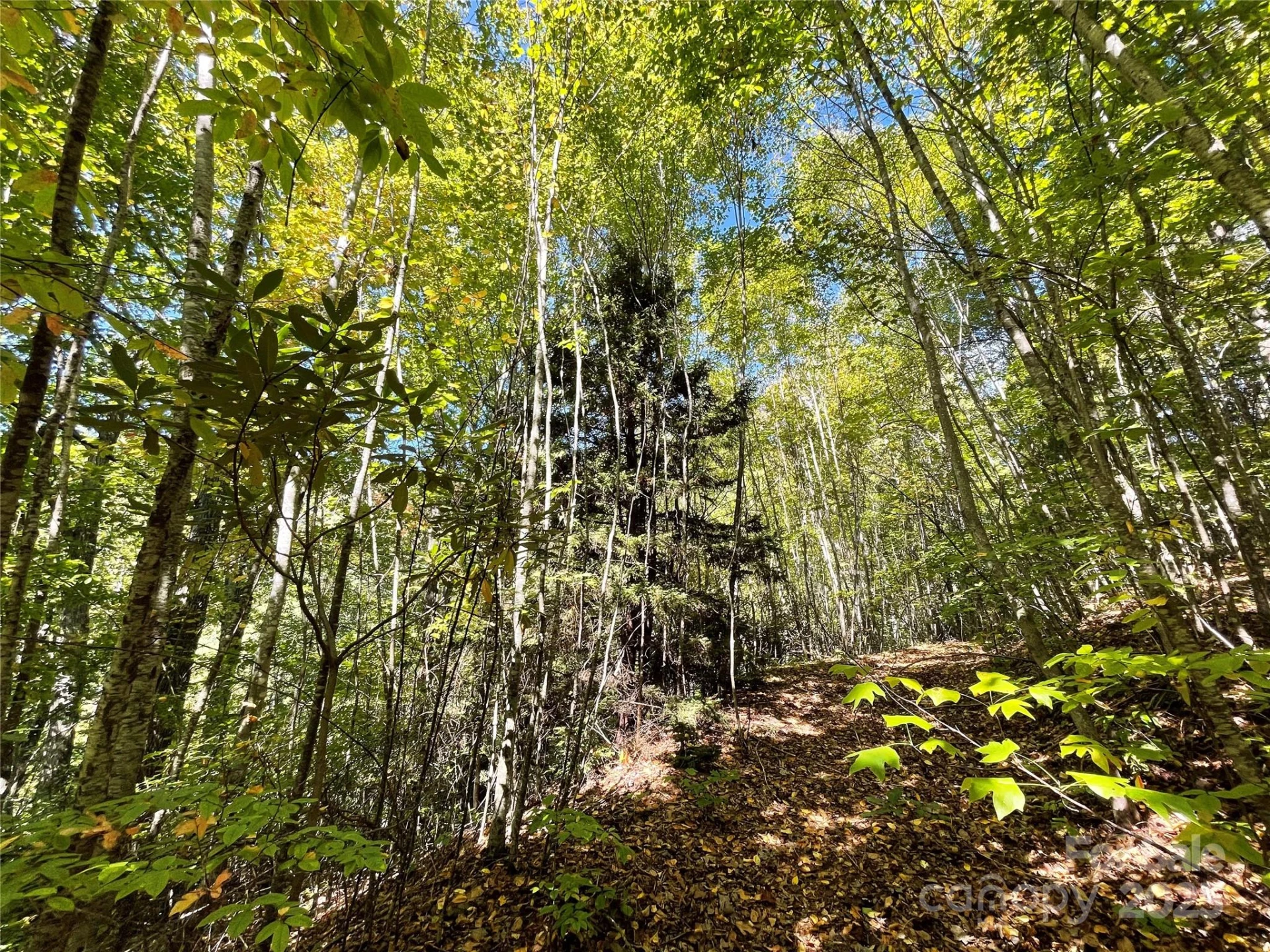 00 Poplar Holler Road - Photo 21