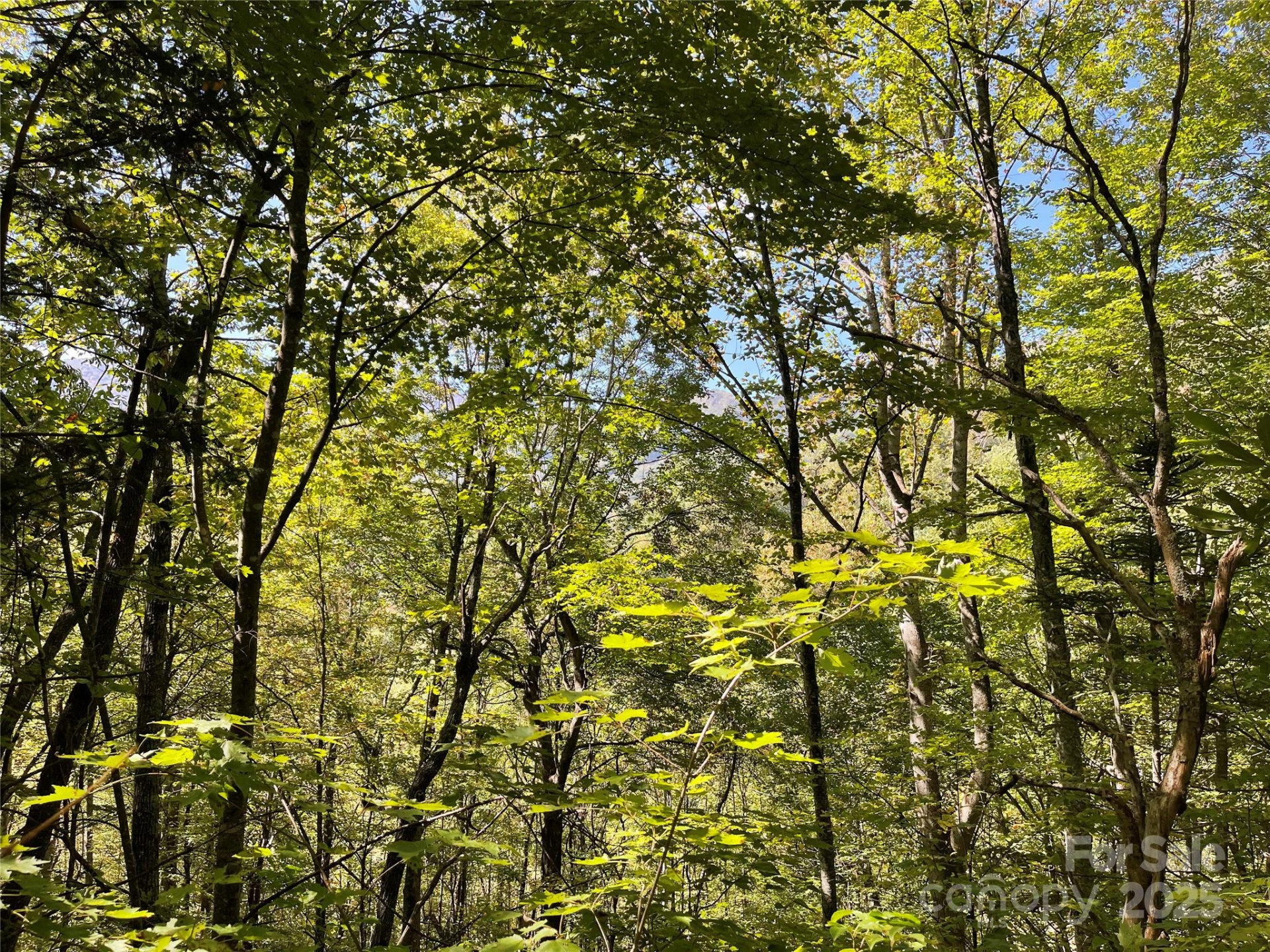 00 Poplar Holler Road - Photo 24