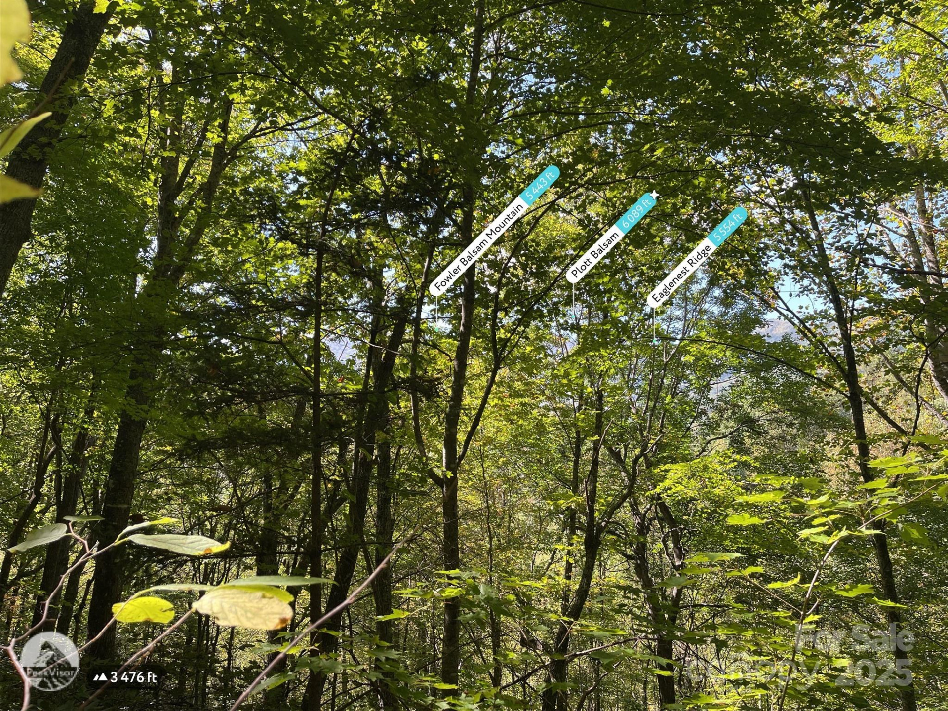 00 Poplar Holler Road - Photo 26