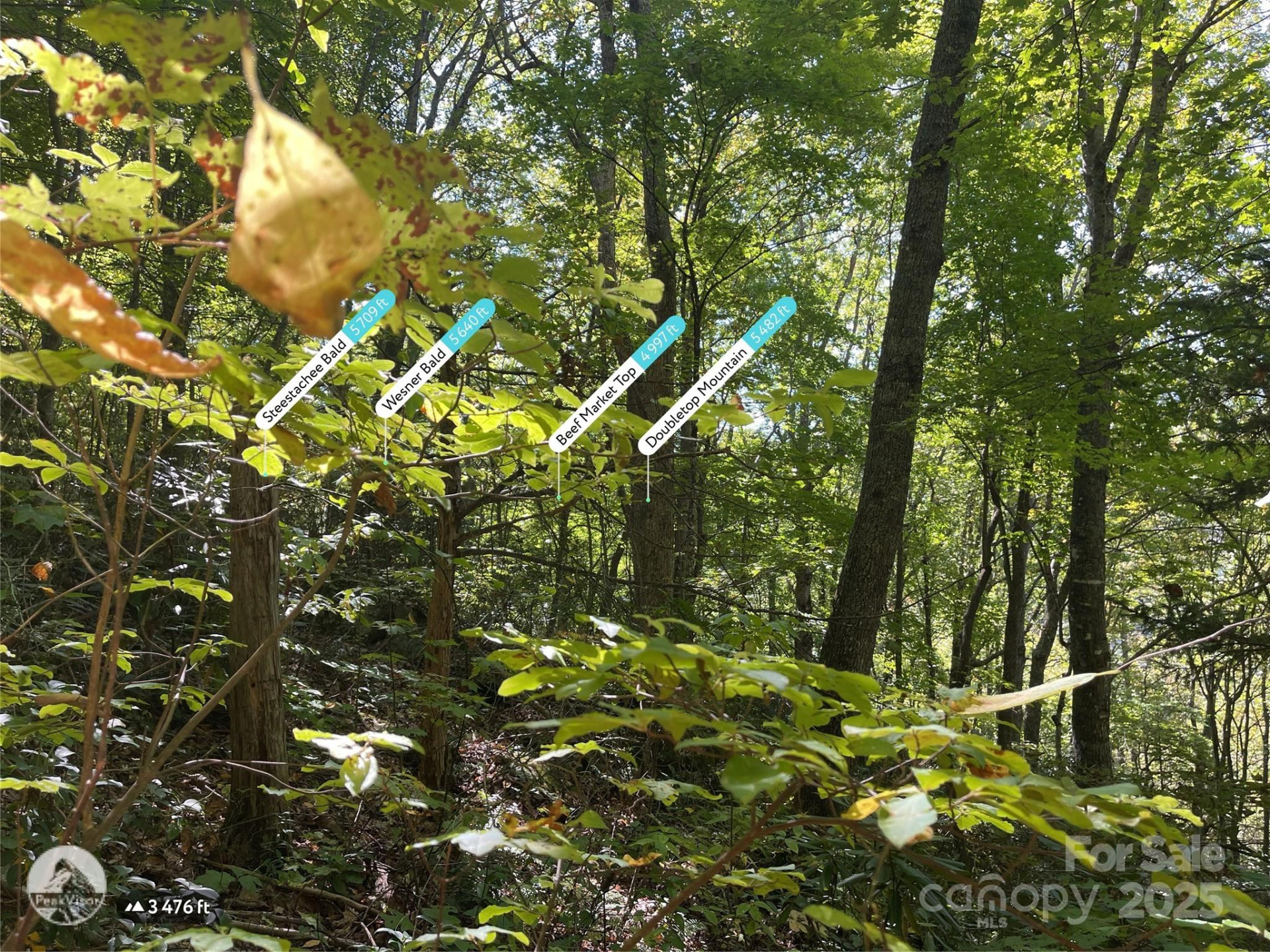 00 Poplar Holler Road - Photo 27