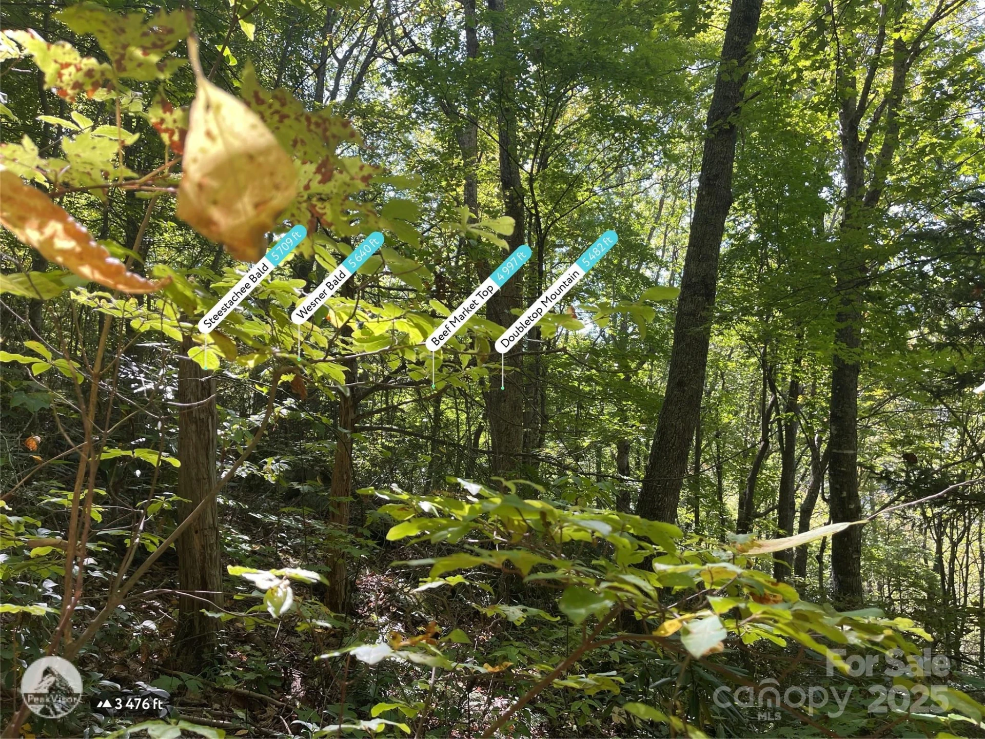 00 Poplar Holler Road - Photo 27