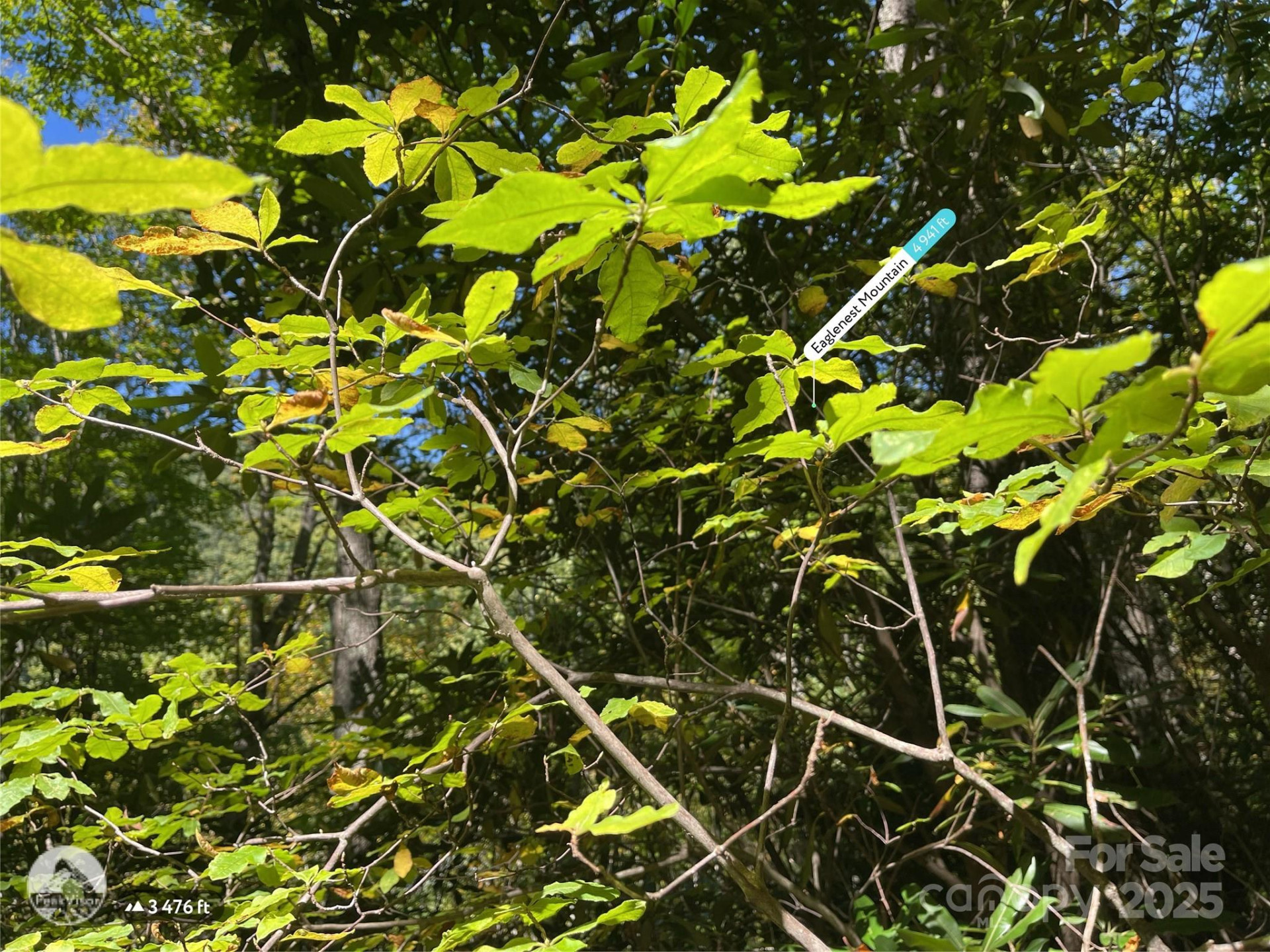 00 Poplar Holler Road - Photo 28