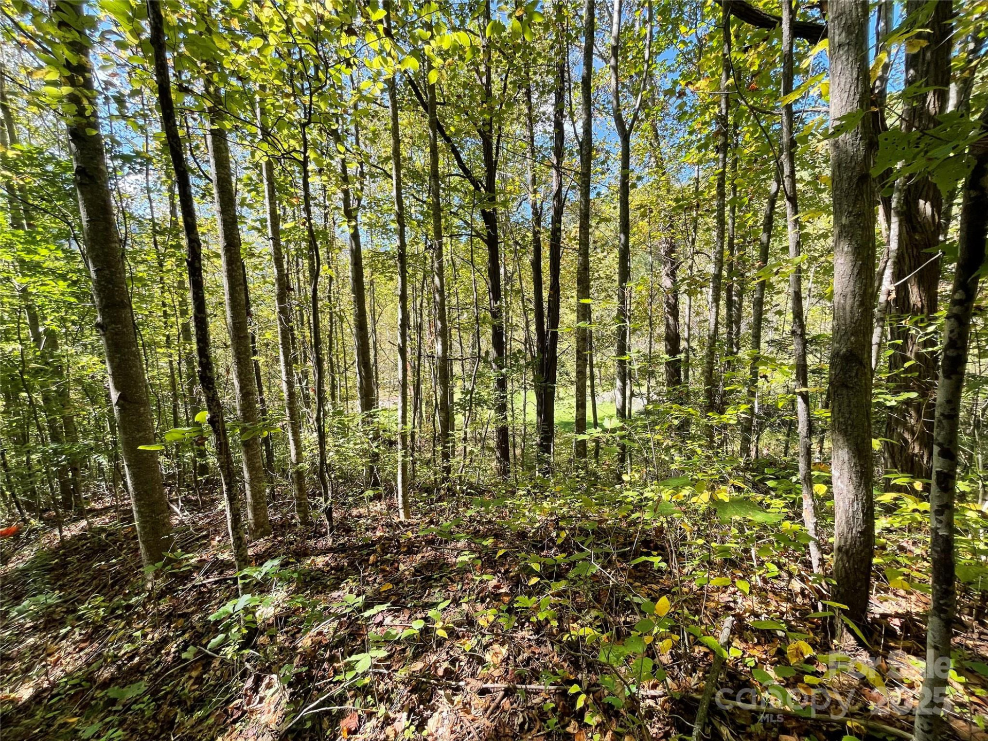 00 Poplar Holler Road - Photo 30