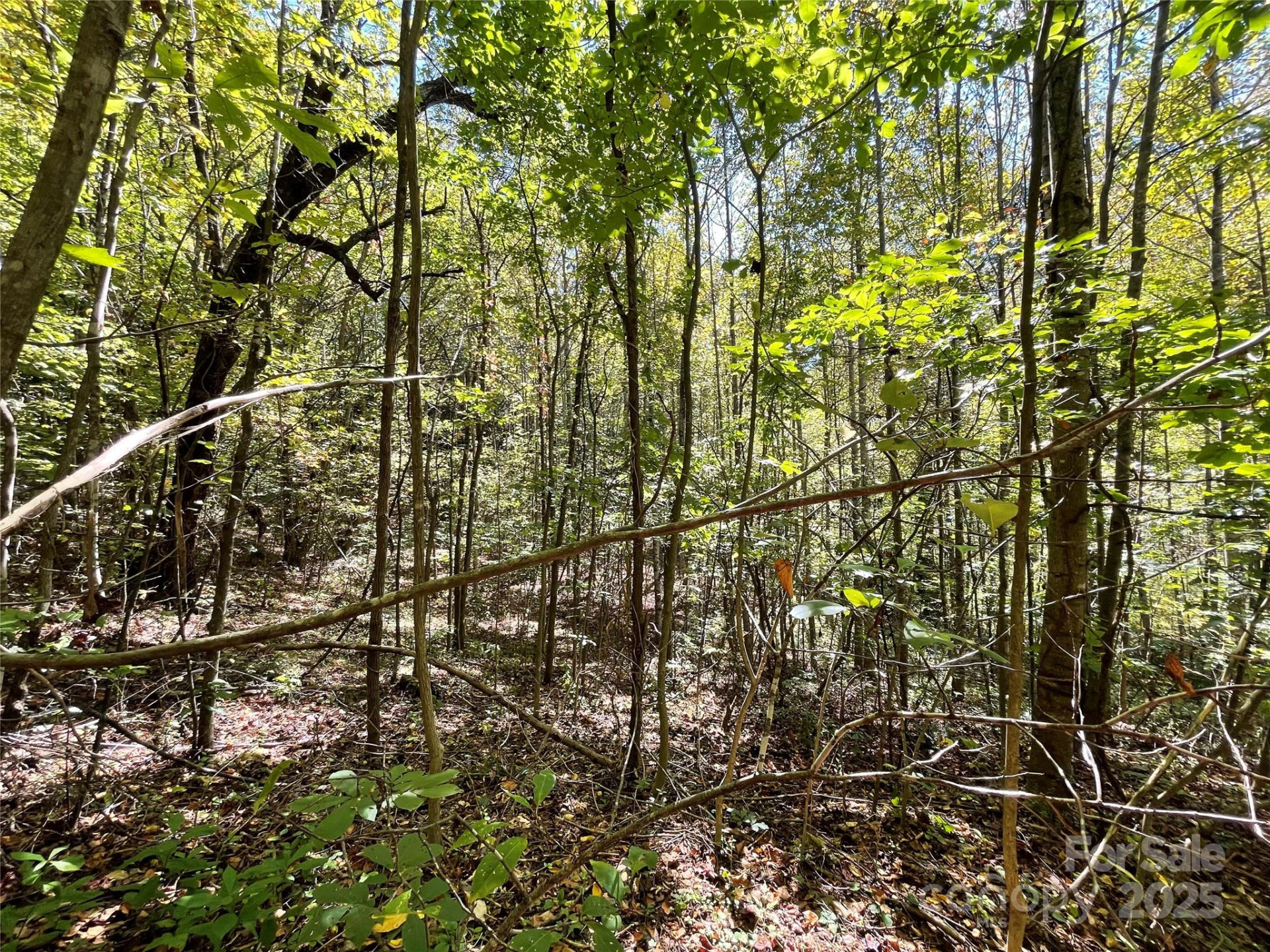 00 Poplar Holler Road - Photo 31