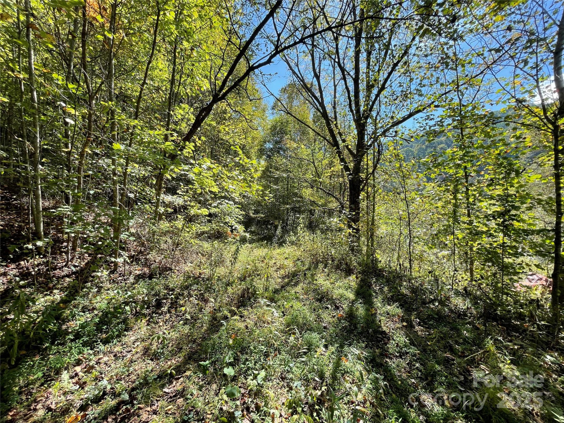 00 Poplar Holler Road - Photo 32