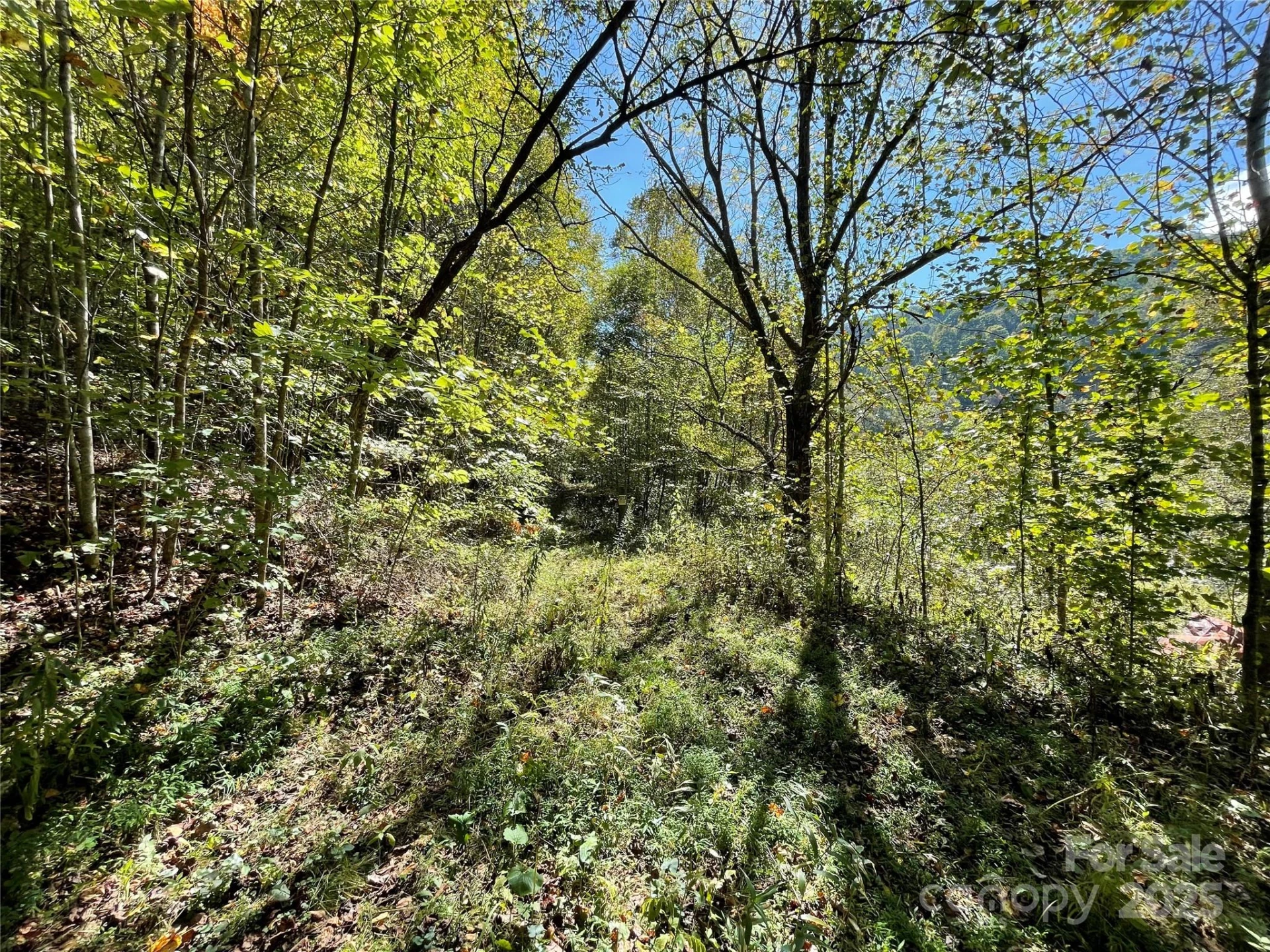 00 Poplar Holler Road - Photo 32