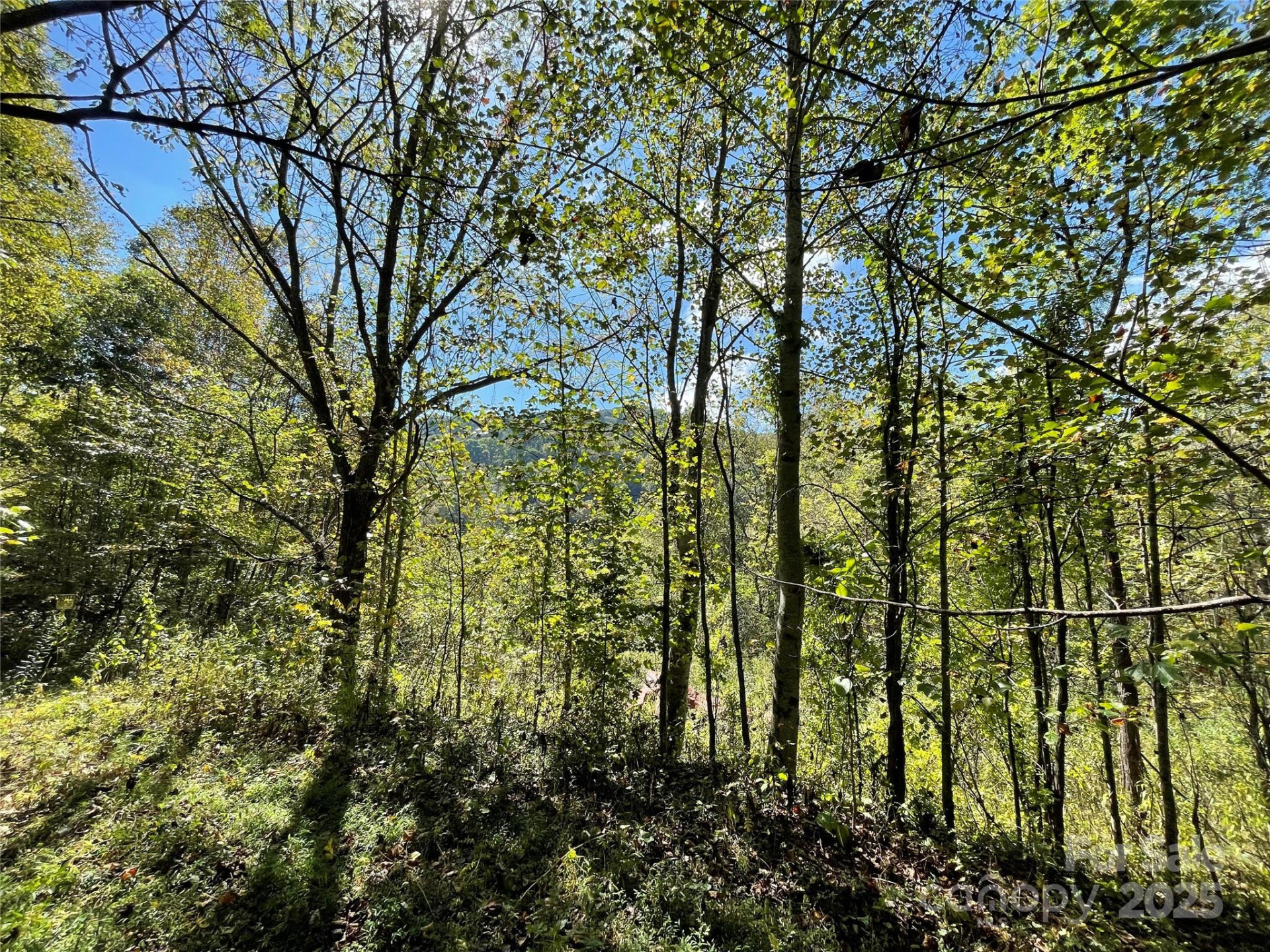 00 Poplar Holler Road - Photo 33