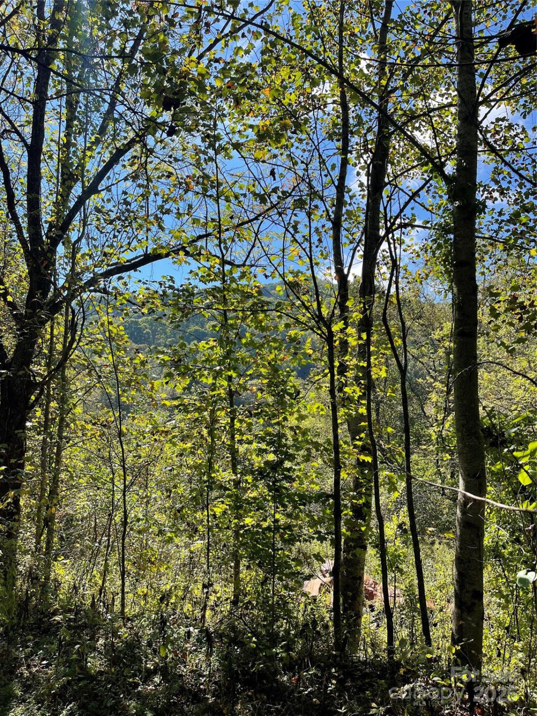 00 Poplar Holler Road - Photo 34