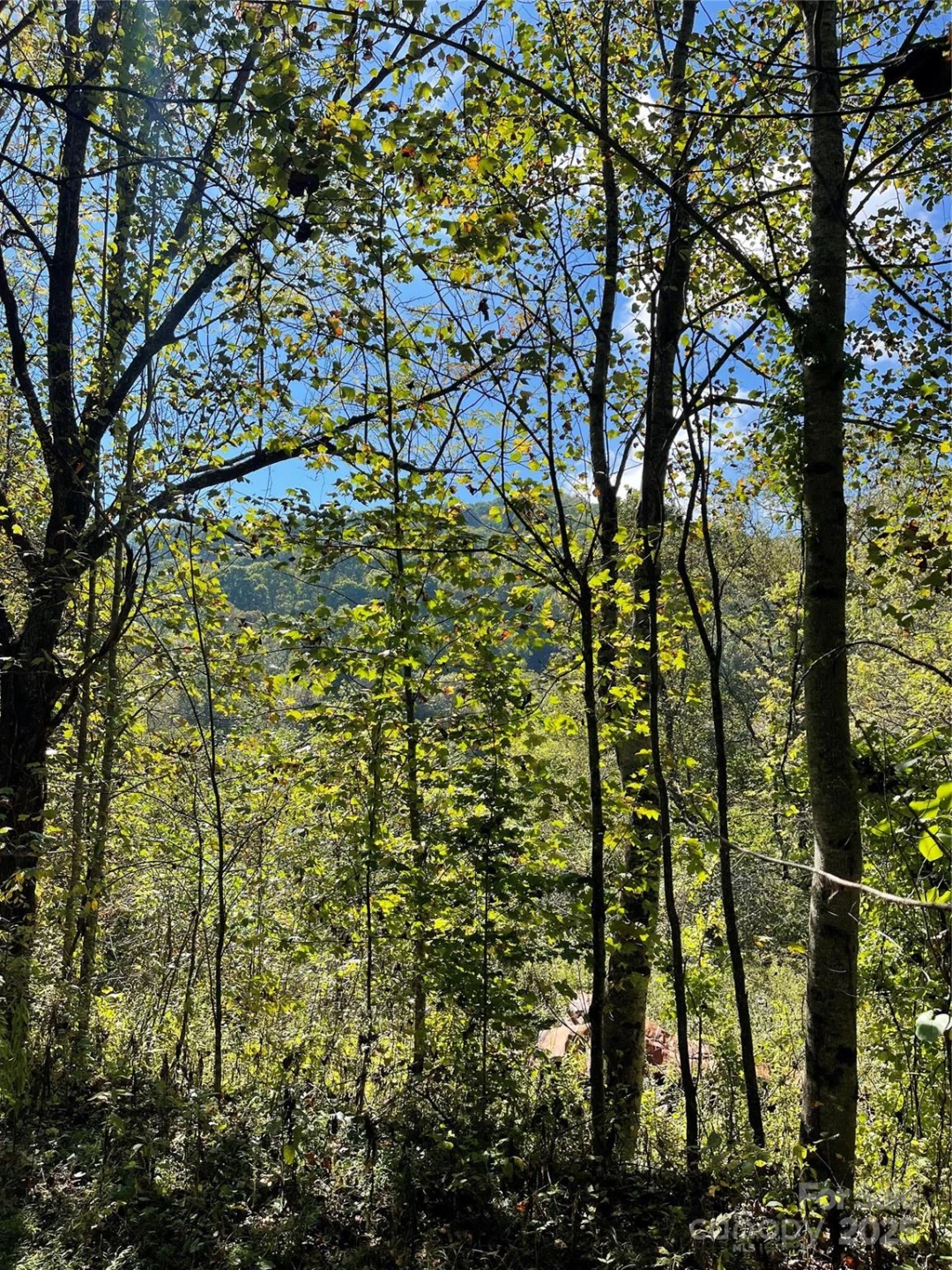 00 Poplar Holler Road - Photo 34