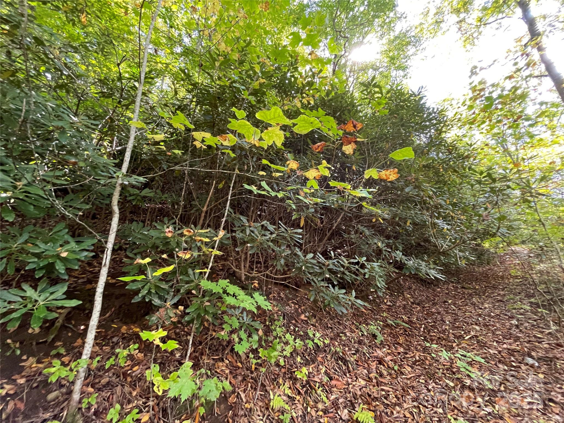 00 Poplar Holler Road - Photo 6