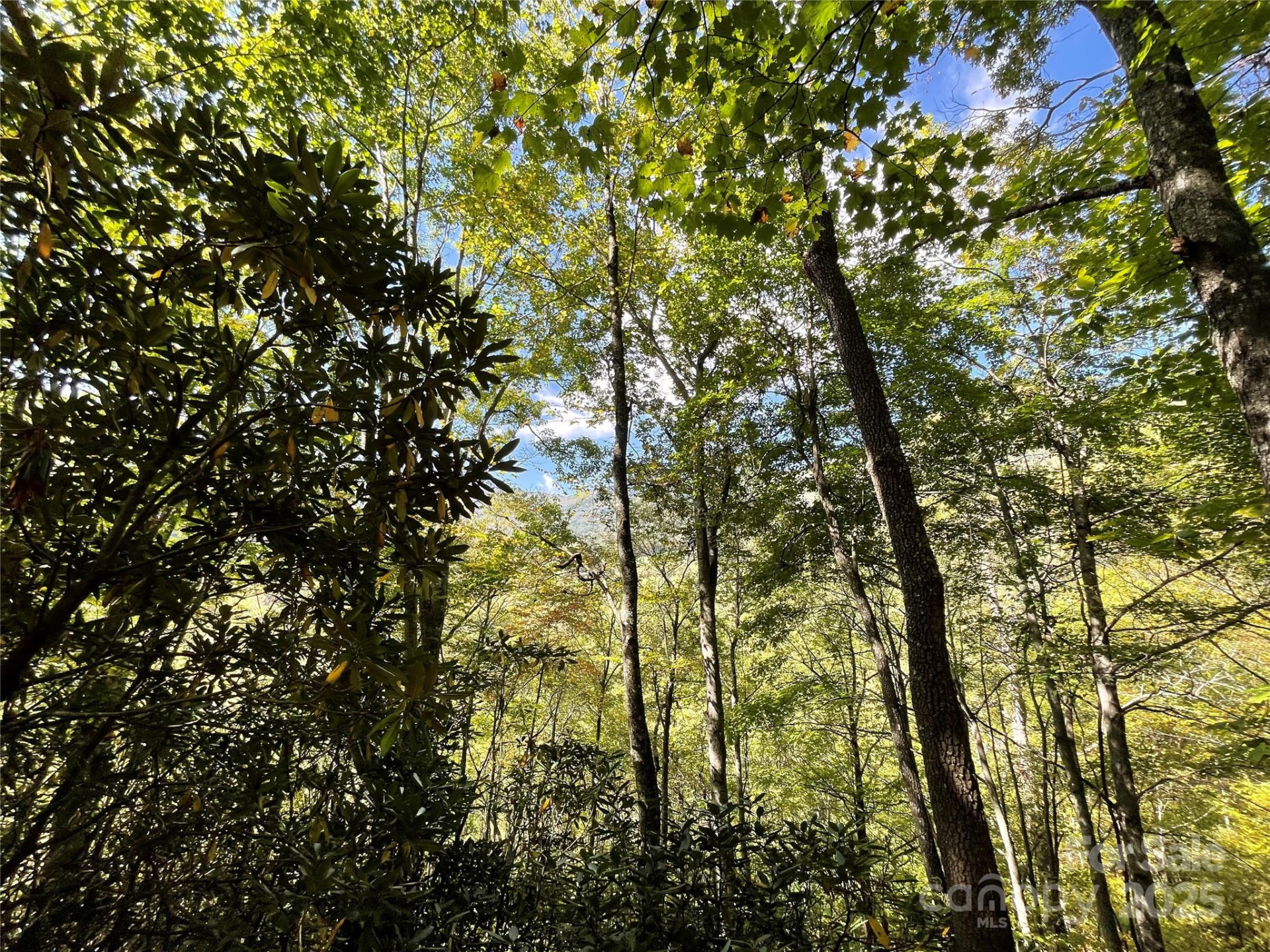 00 Poplar Holler Road - Photo 9