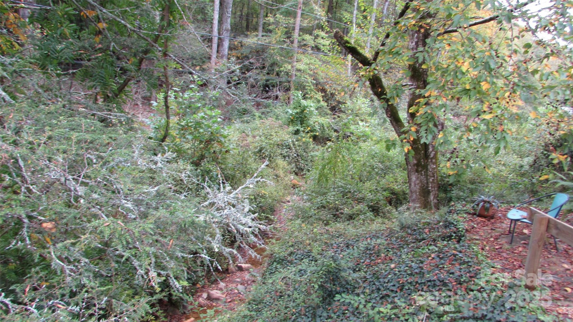 524 Clear Creek Road - Photo 16