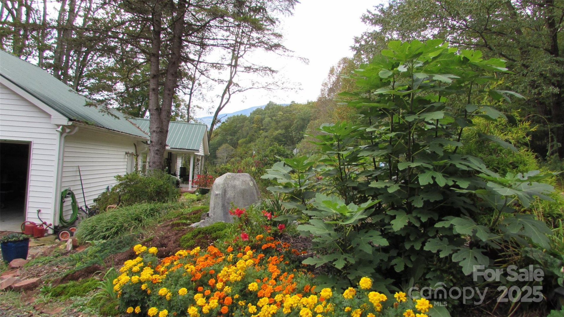 524 Clear Creek Road - Photo 5