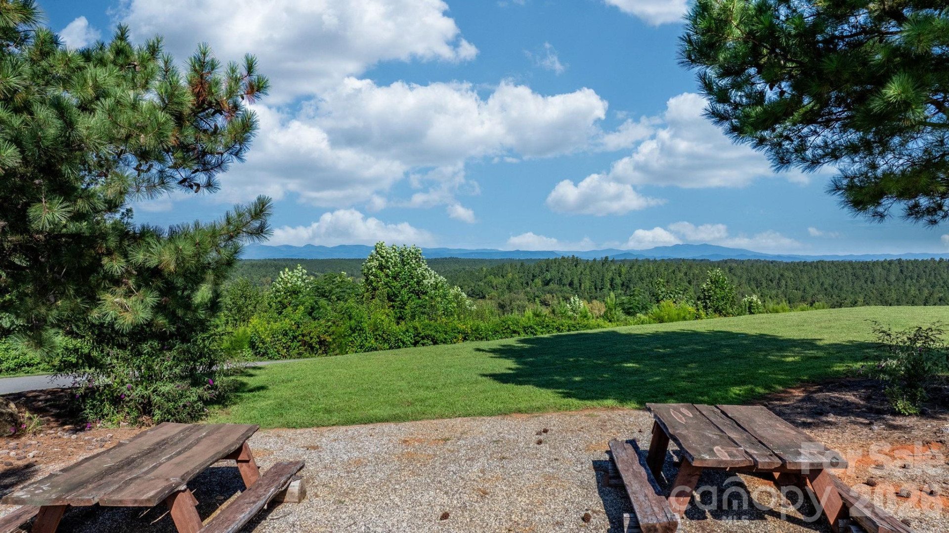 436 Settings Boulevard #247 - Photo 18