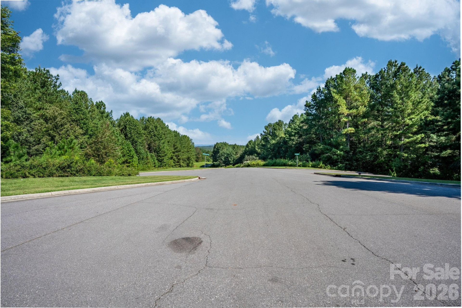 436 Settings Boulevard #247 - Photo 5