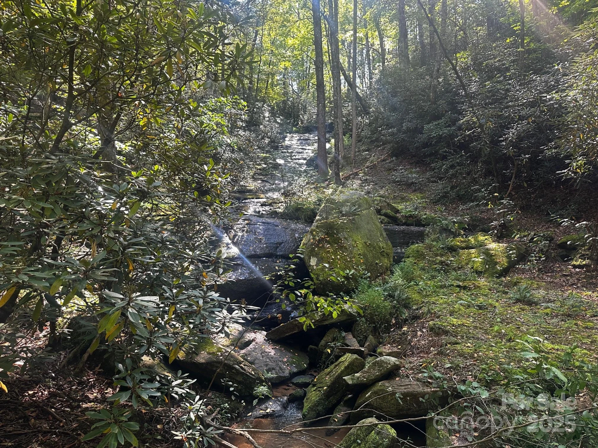 0000 Moss Hill Lane