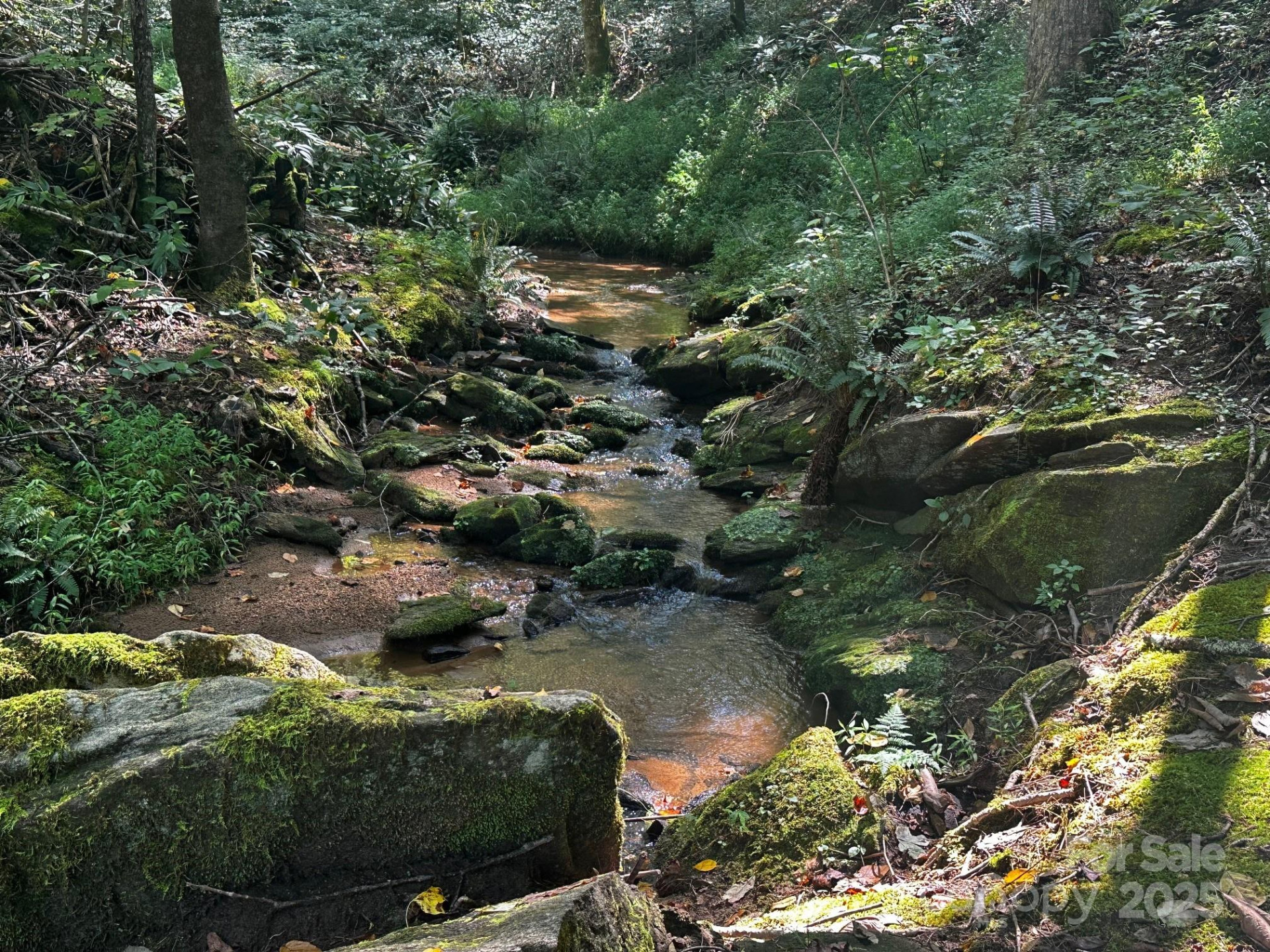 0000 Moss Hill Lane - Photo 2